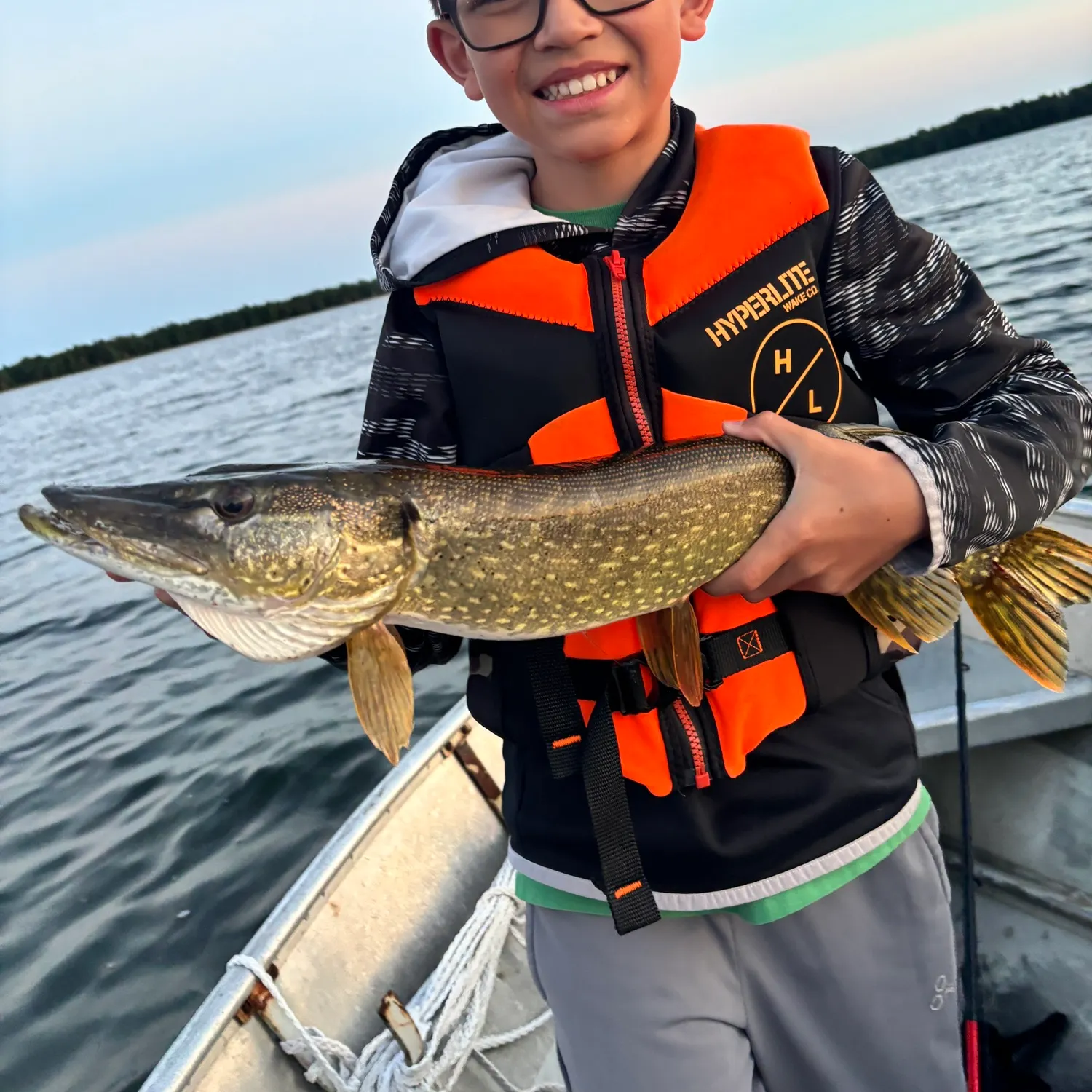 Northern pike caught on Fishbrain