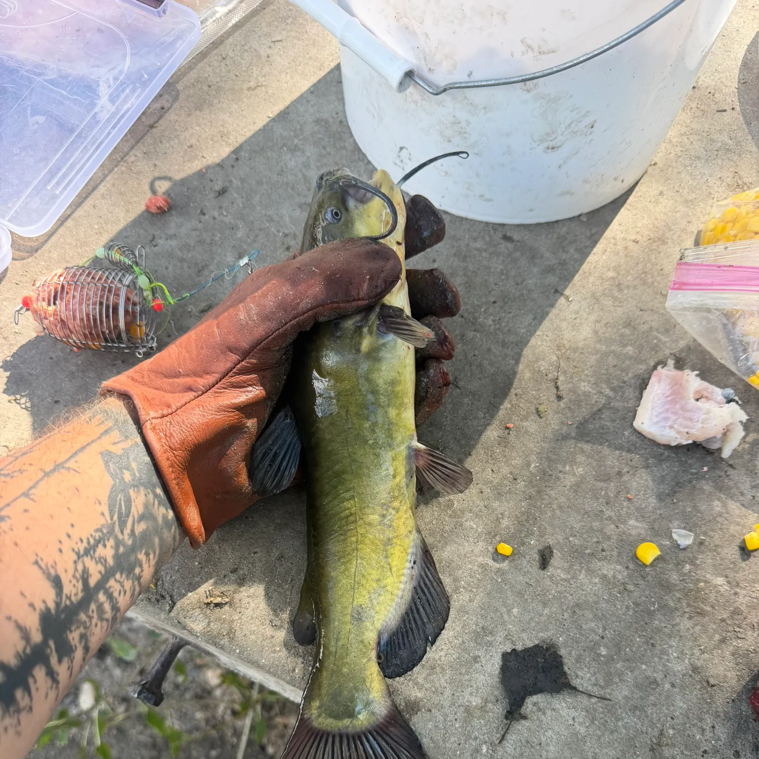 catch