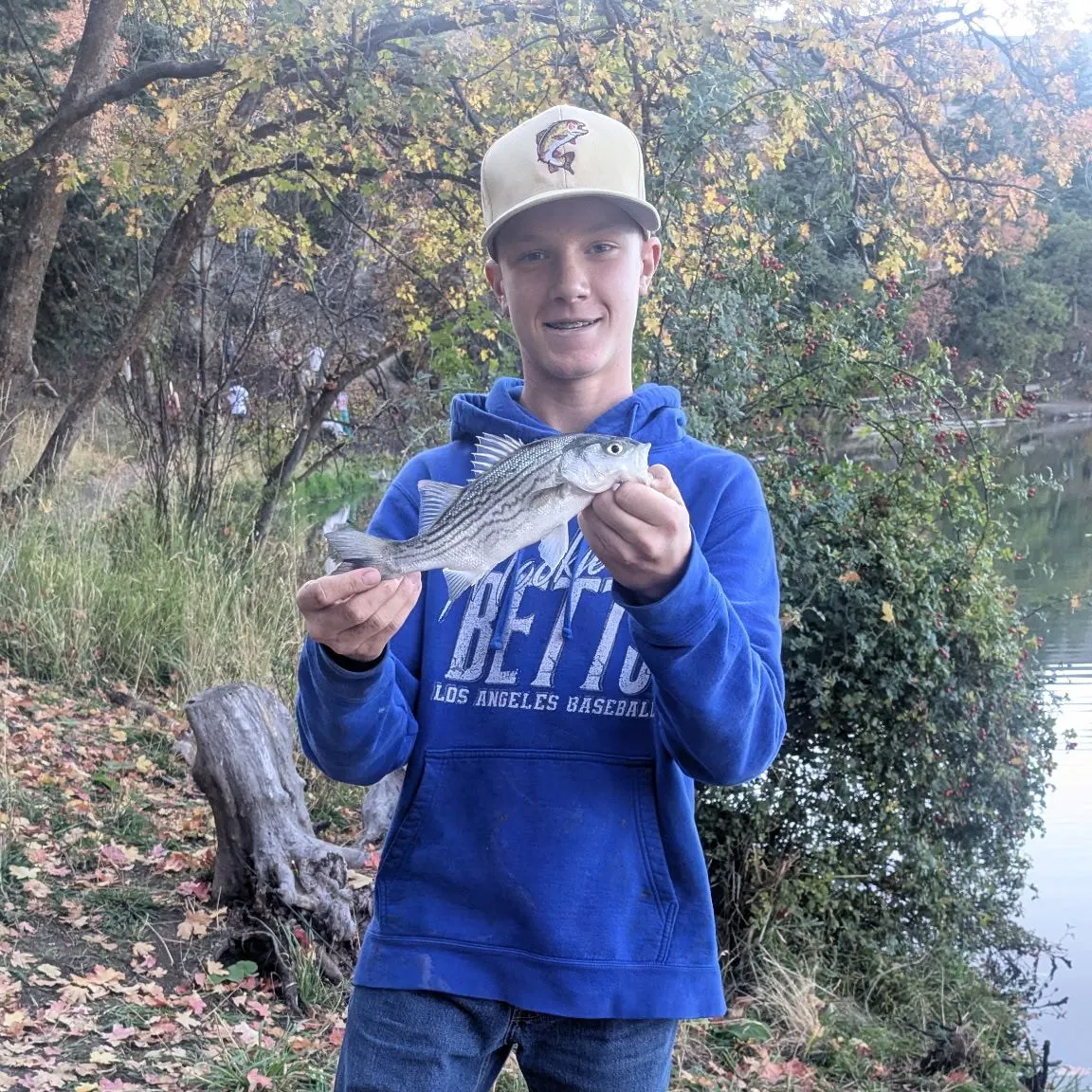 Wiper caught on Fishbrain