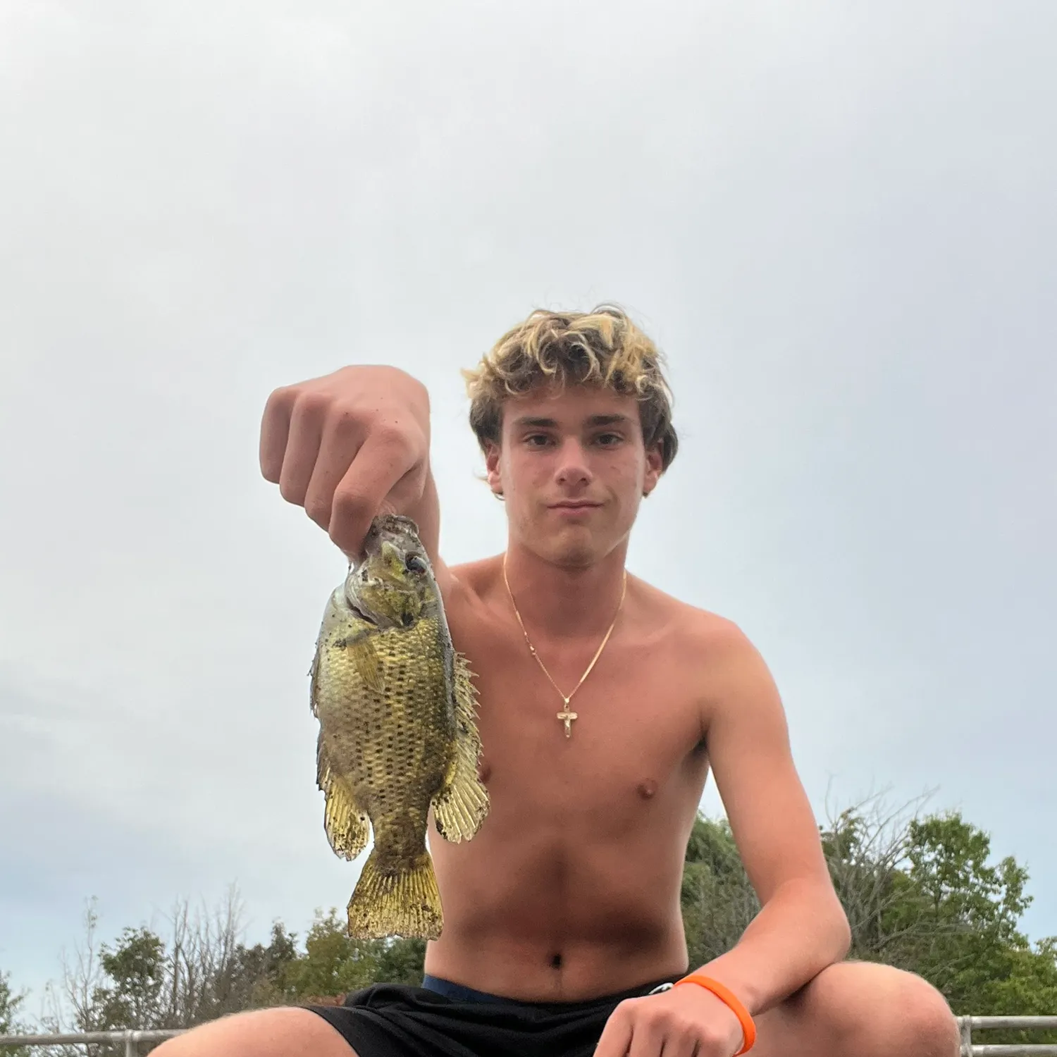 Rock bass caught on Fishbrain