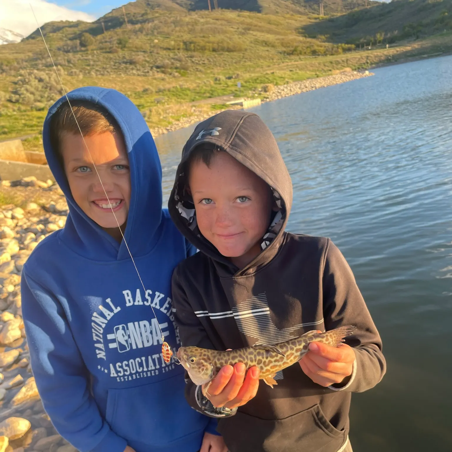 The most recent Tiger trout catches on Fishbrain