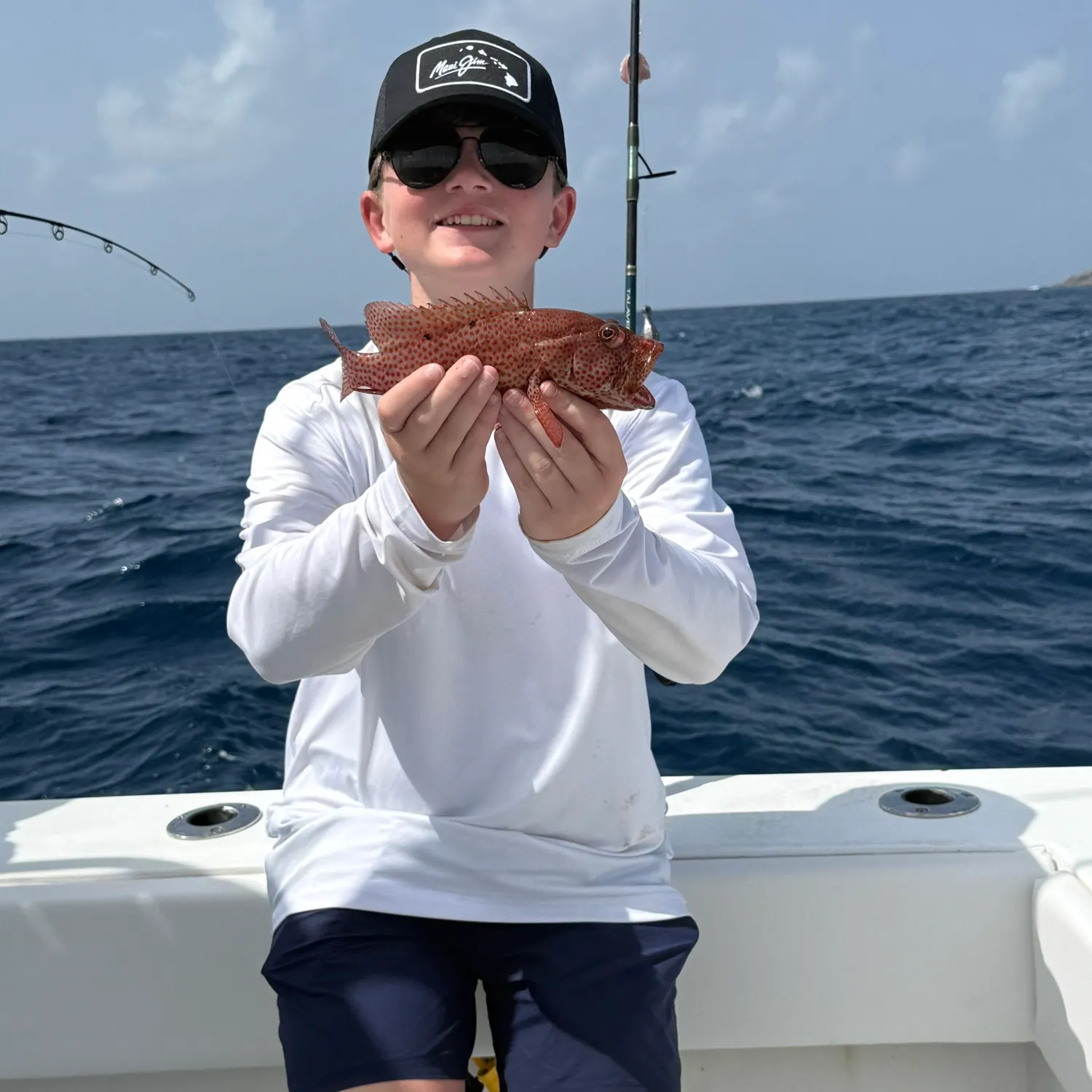 The most recent Red hind grouper catches on Fishbrain