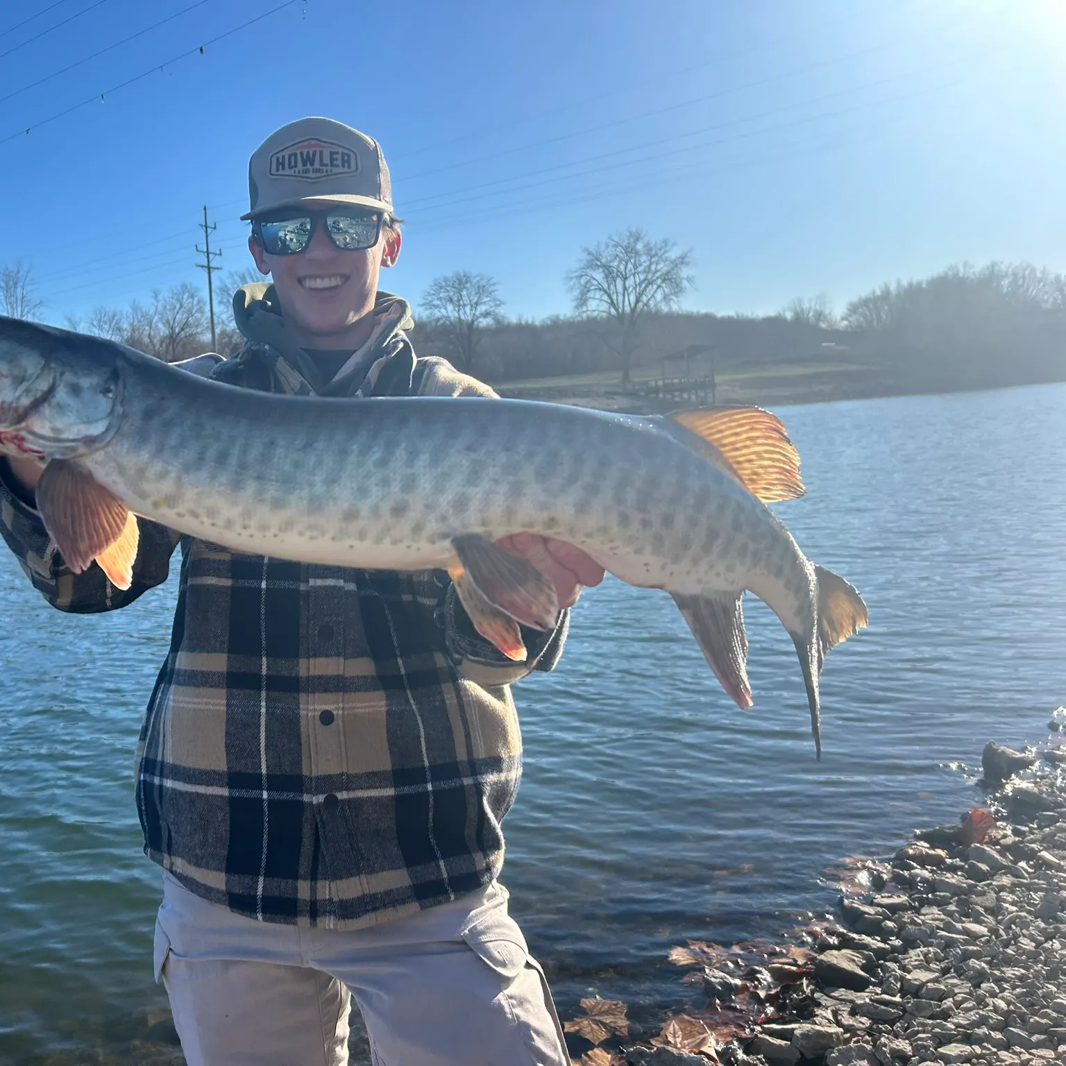 The most recent Muskellunge catches on Fishbrain