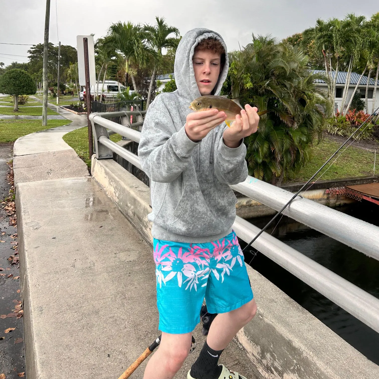 The most recent Crevalle jack catches on Fishbrain