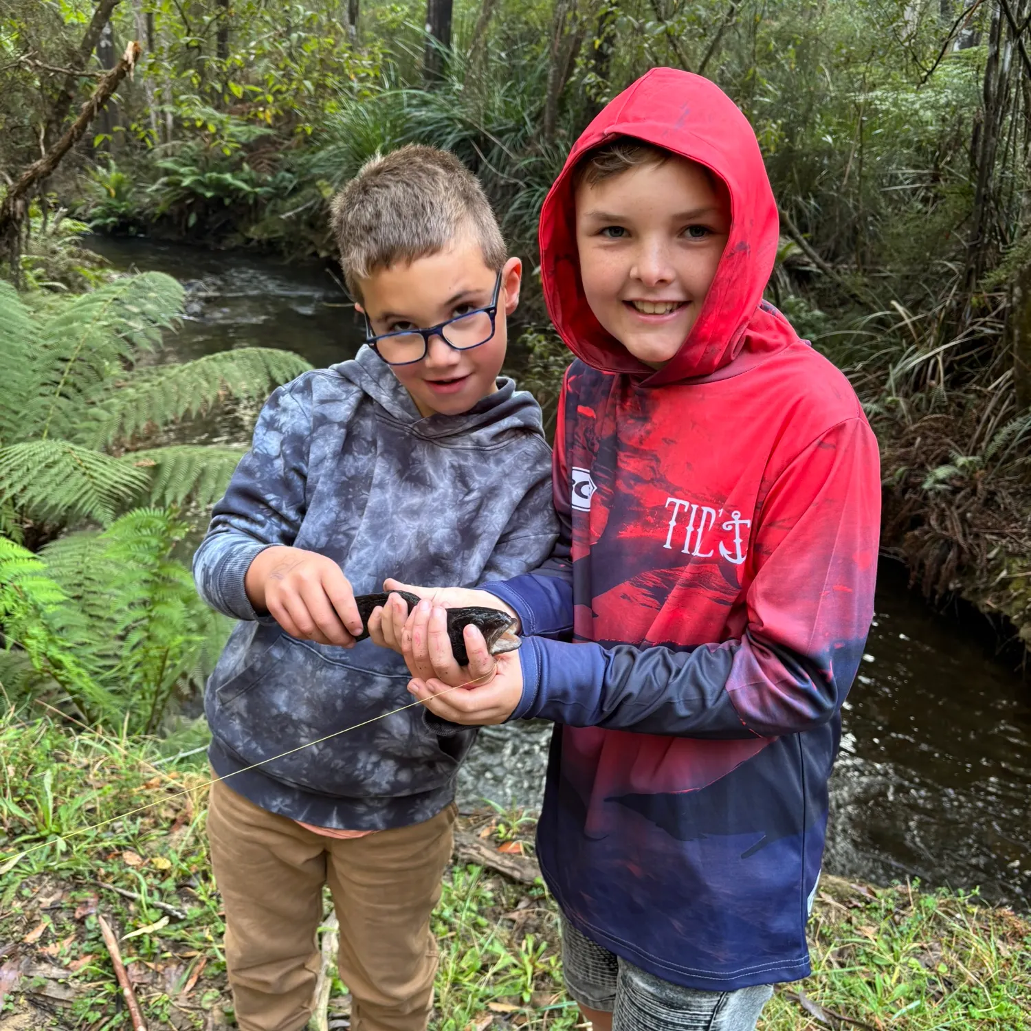 The most recent River blackfish catches on Fishbrain