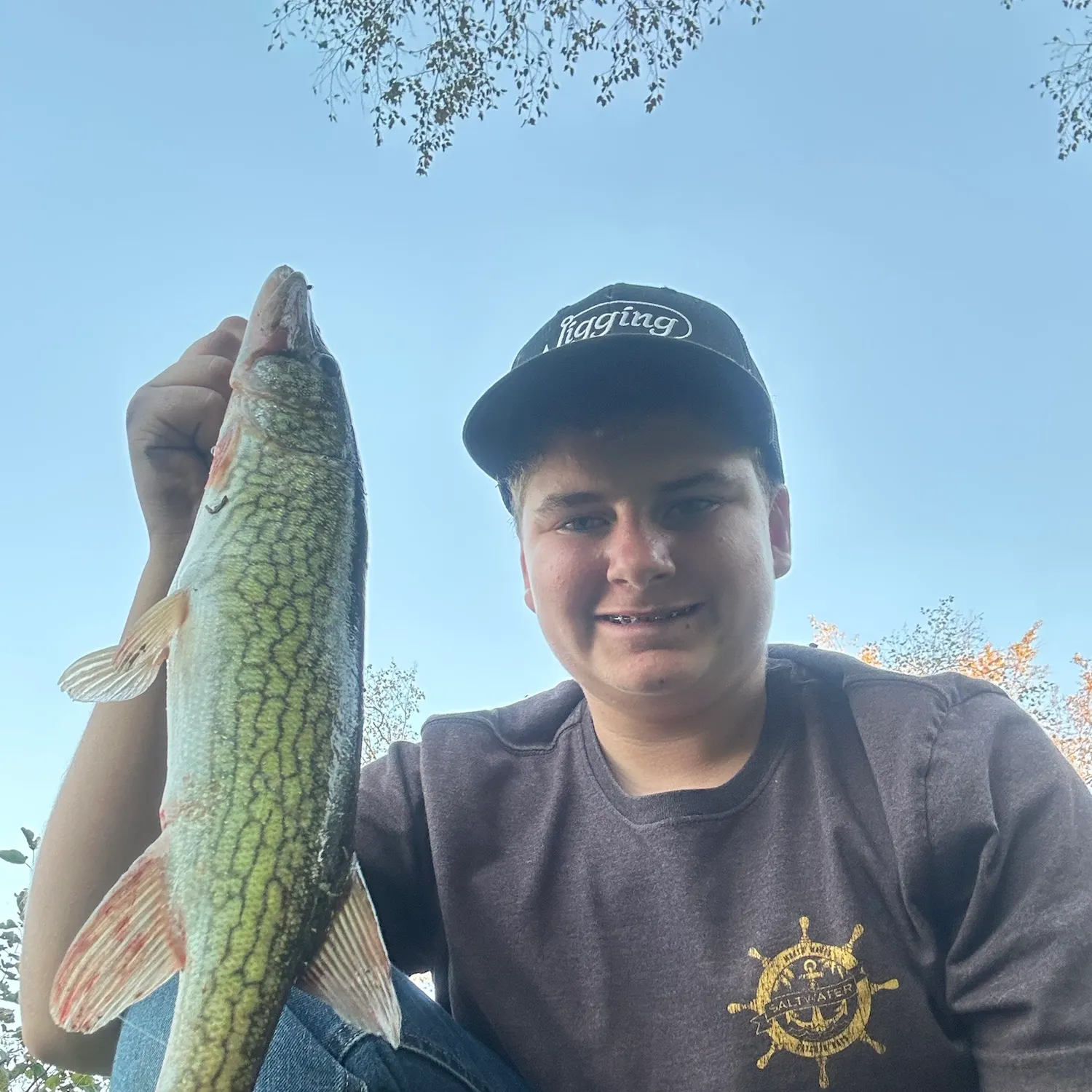 Chain pickerel caught on Fishbrain