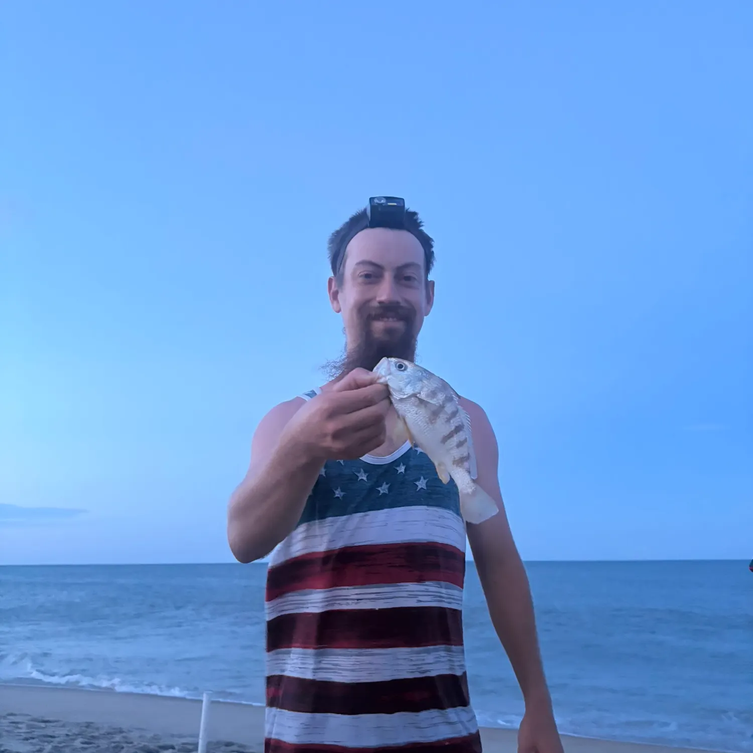 The most recent Banded drum catches on Fishbrain