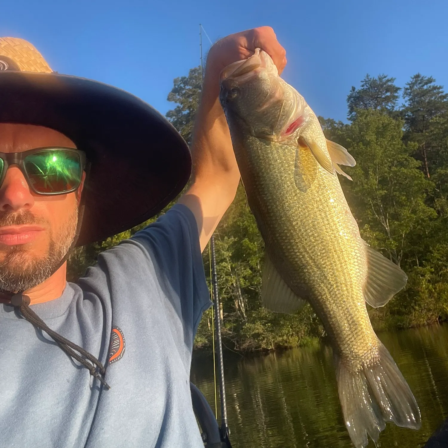 Largemouth bass caught on Fishbrain