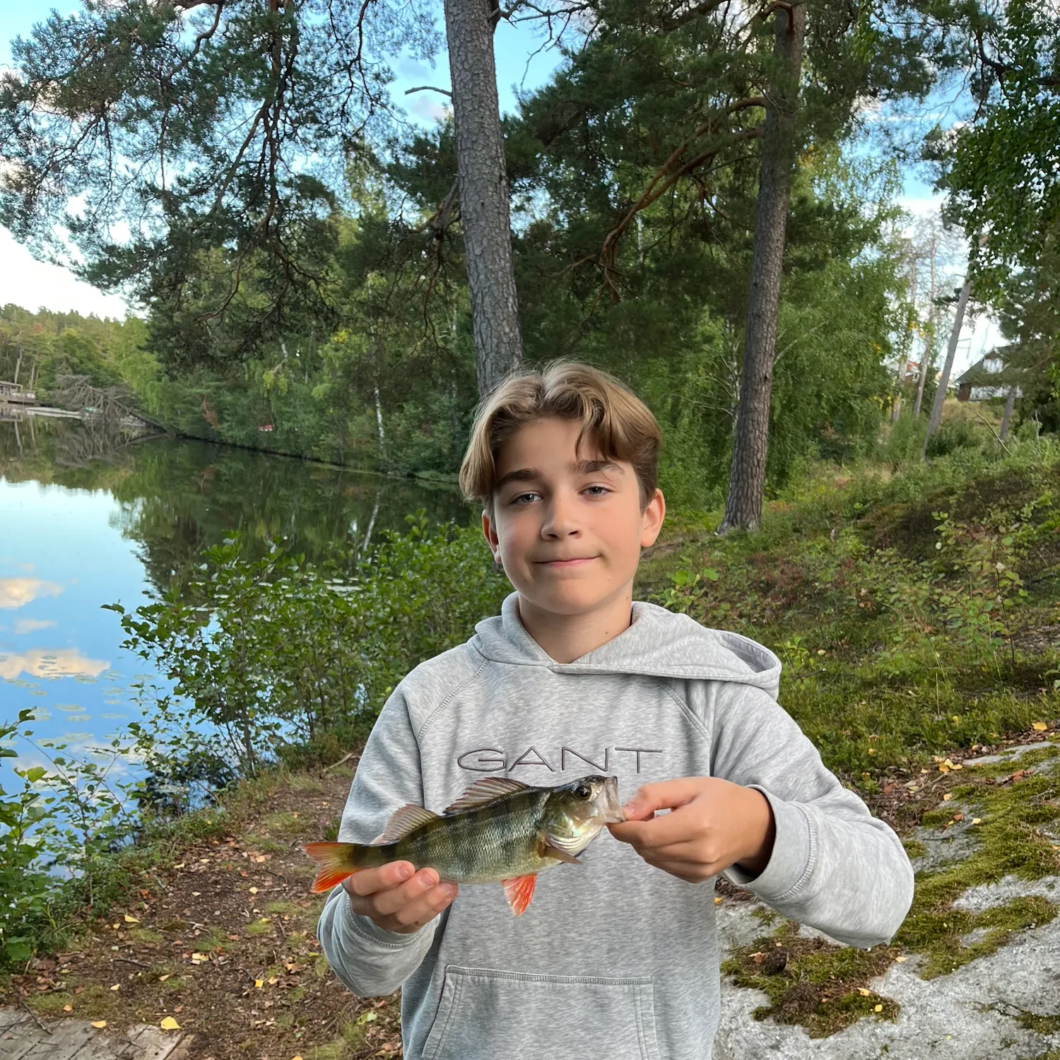 European perch caught on Fishbrain