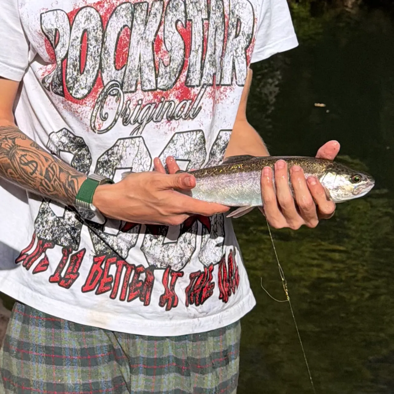 The most recent Apache trout catches on Fishbrain