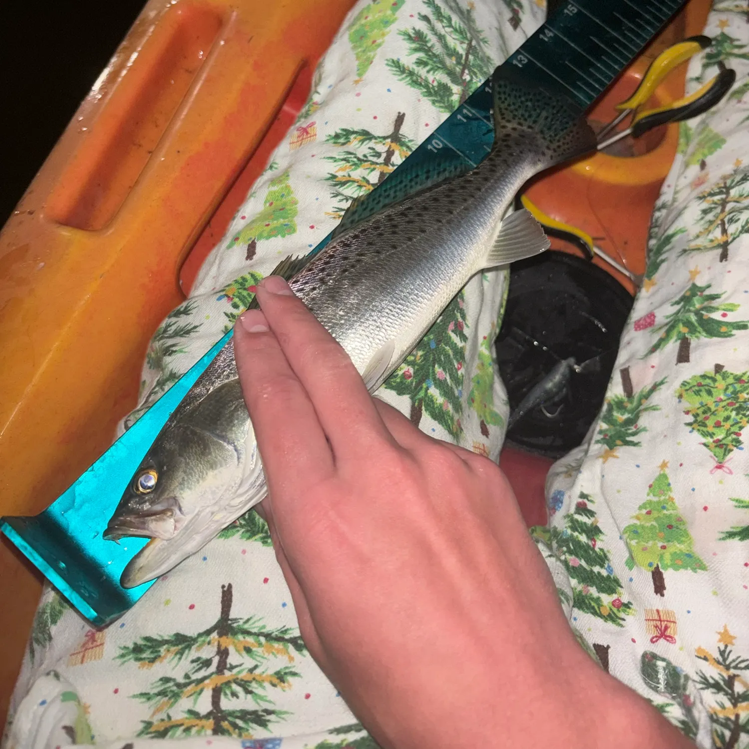Spotted seatrout caught on Fishbrain