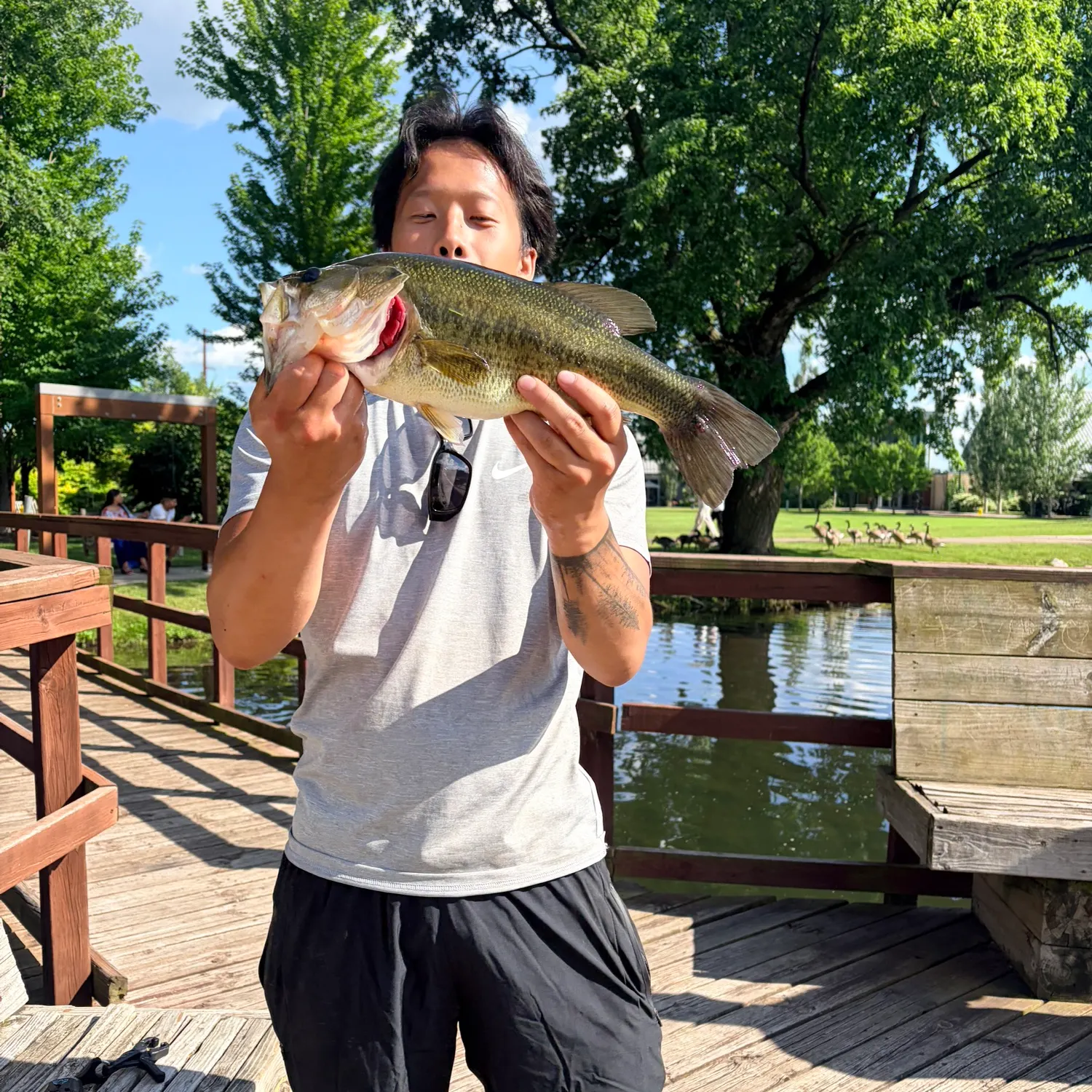 catch