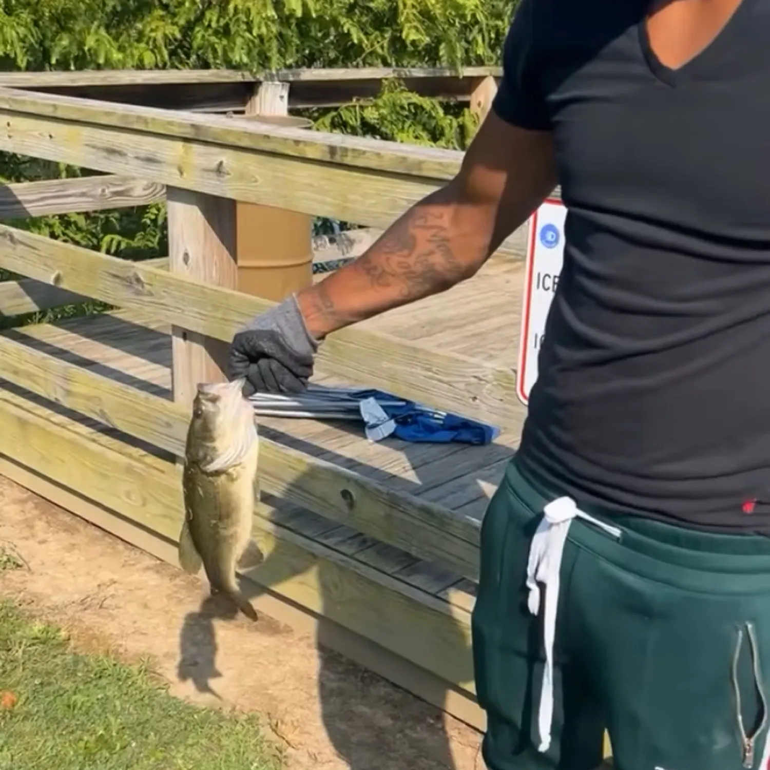 recently logged catches