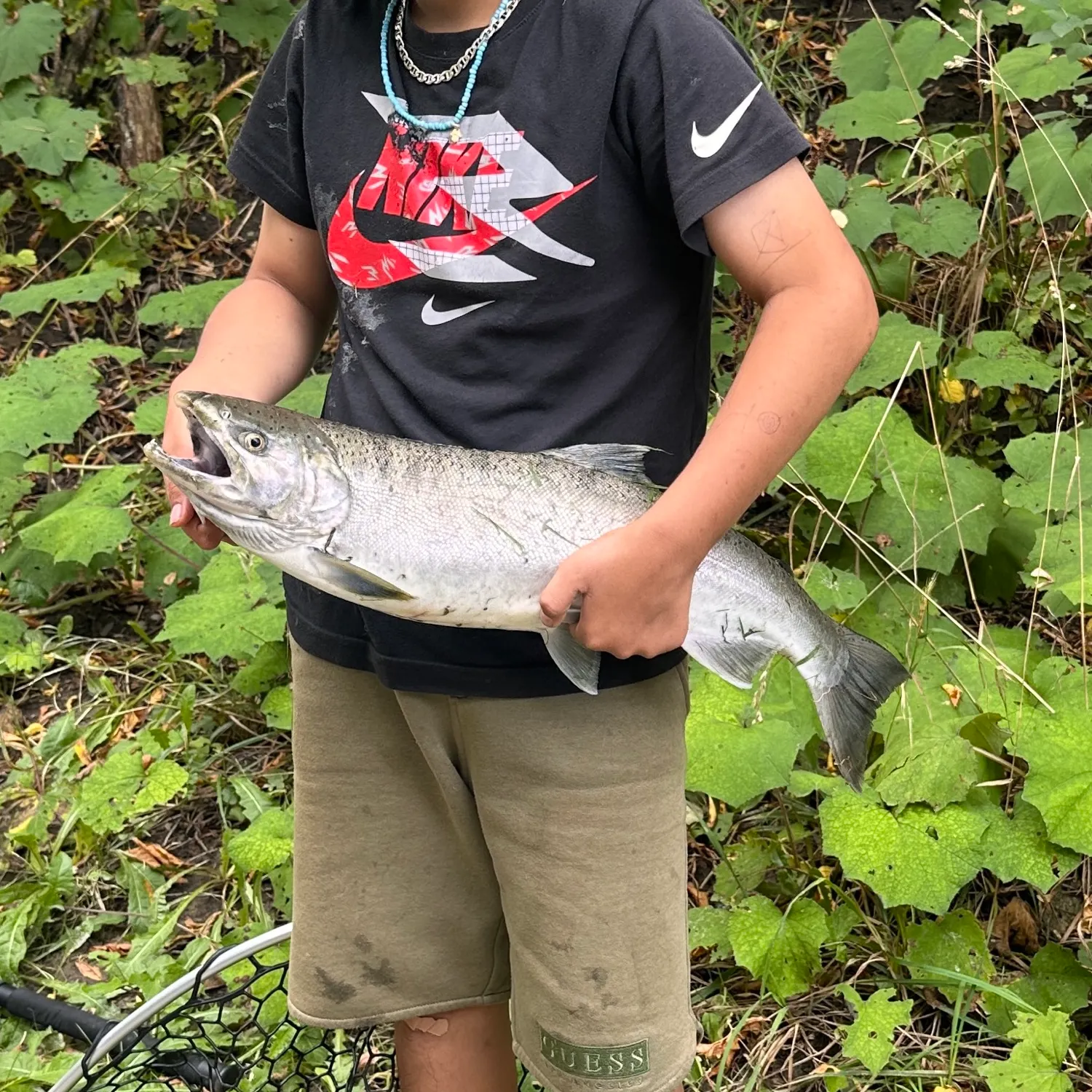Coho salmon caught on Fishbrain