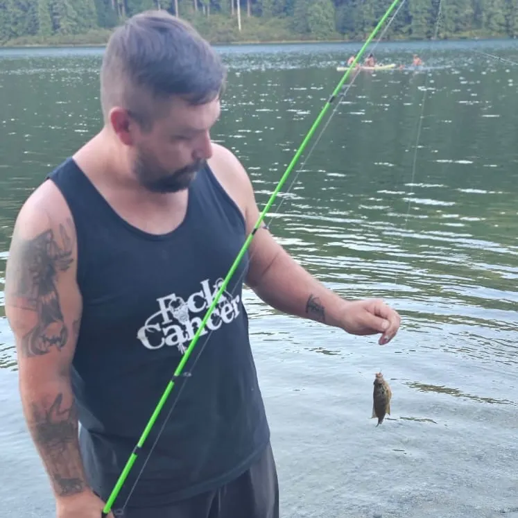 Pumpkinseed caught on Fishbrain