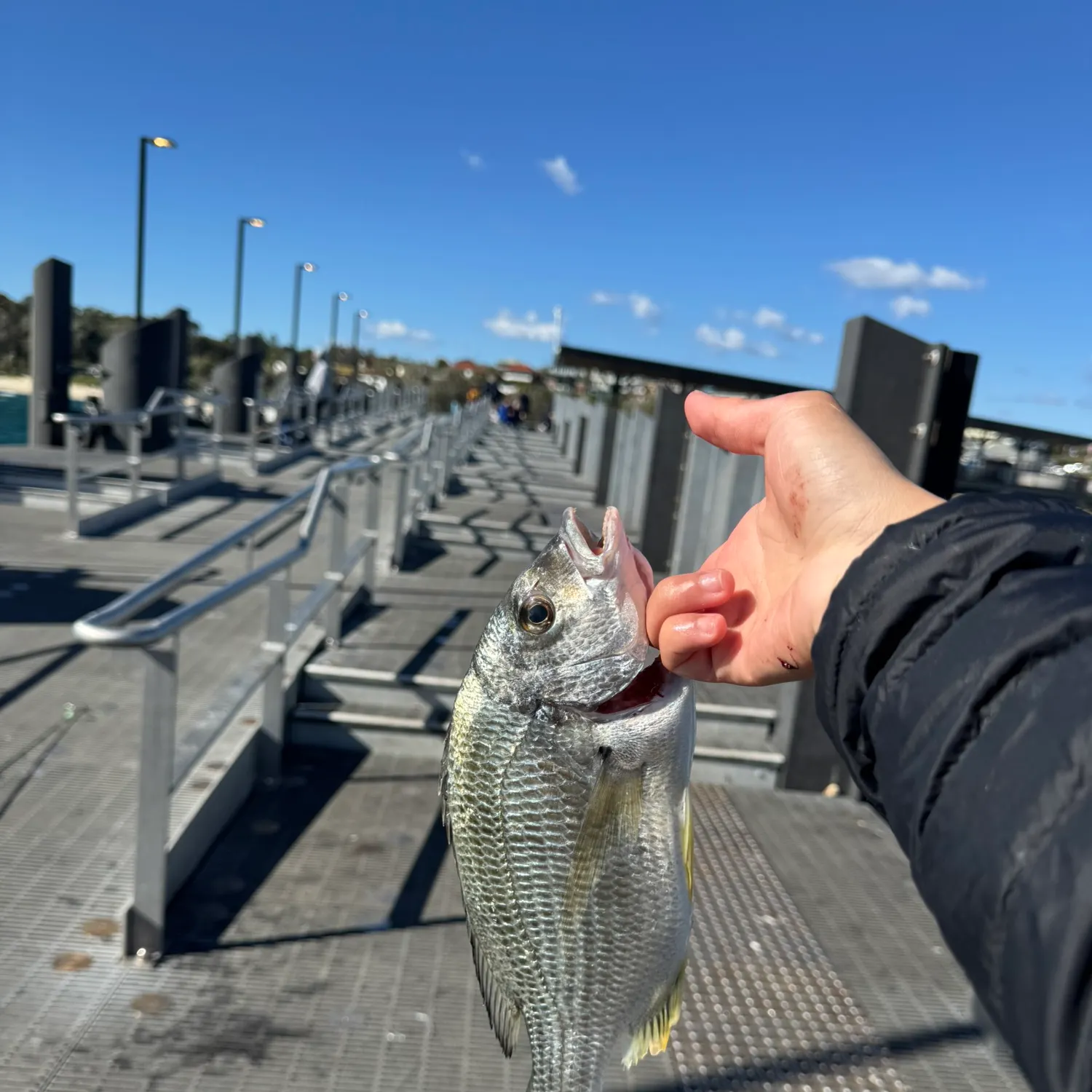 catch