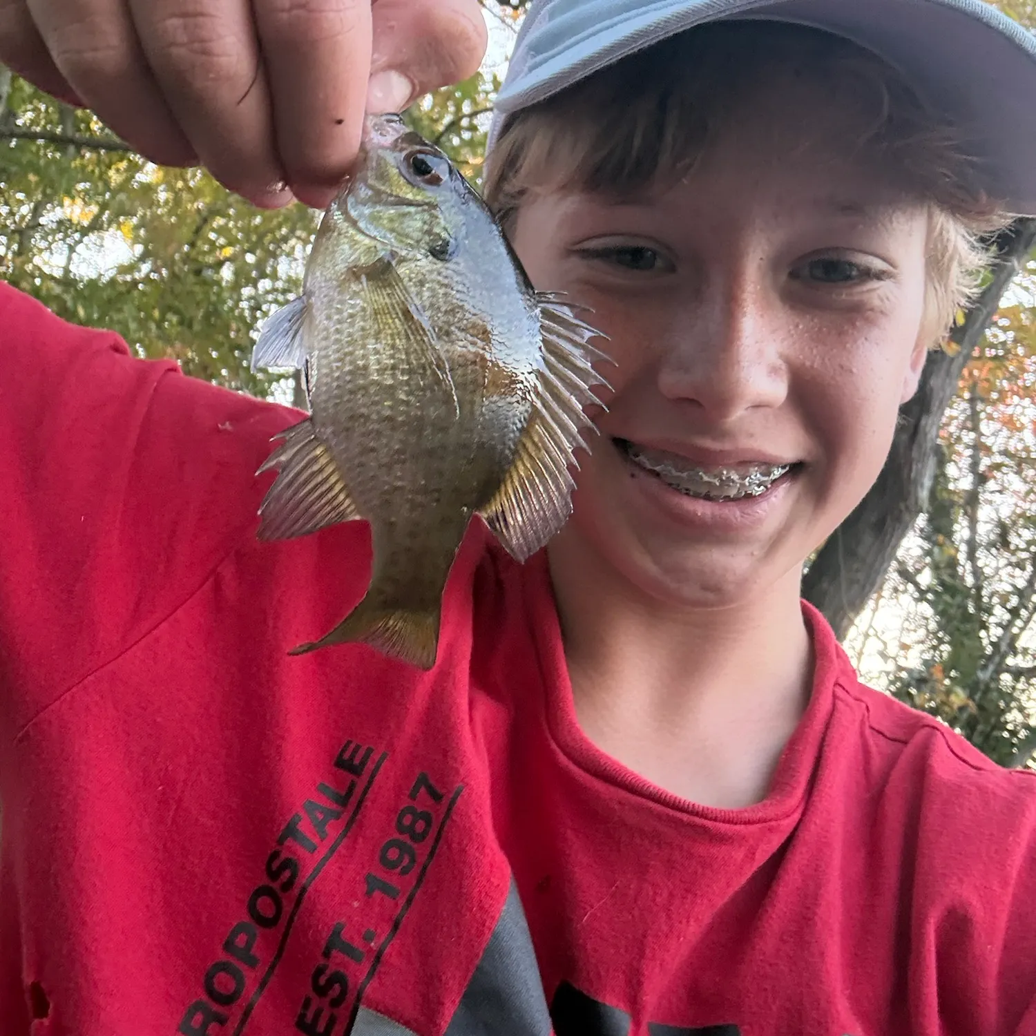 Bluegill caught on Fishbrain