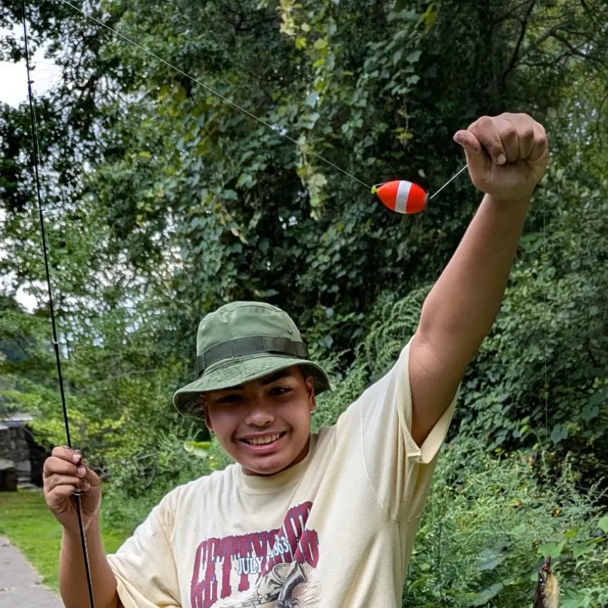 American eel caught on Fishbrain