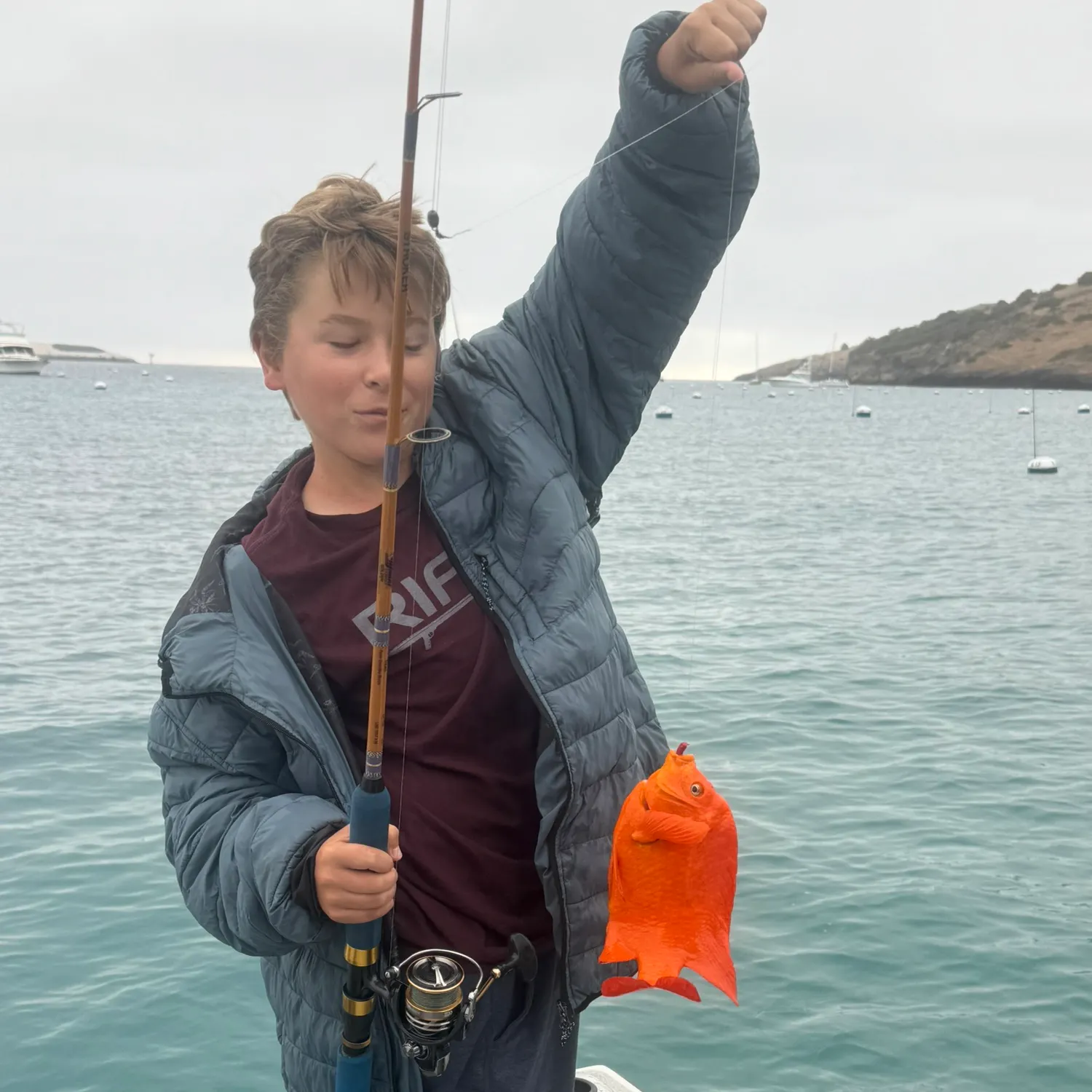 The most recent Garibaldi damselfish catches on Fishbrain
