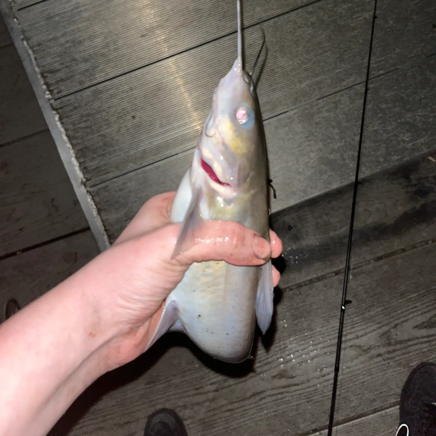 catch
