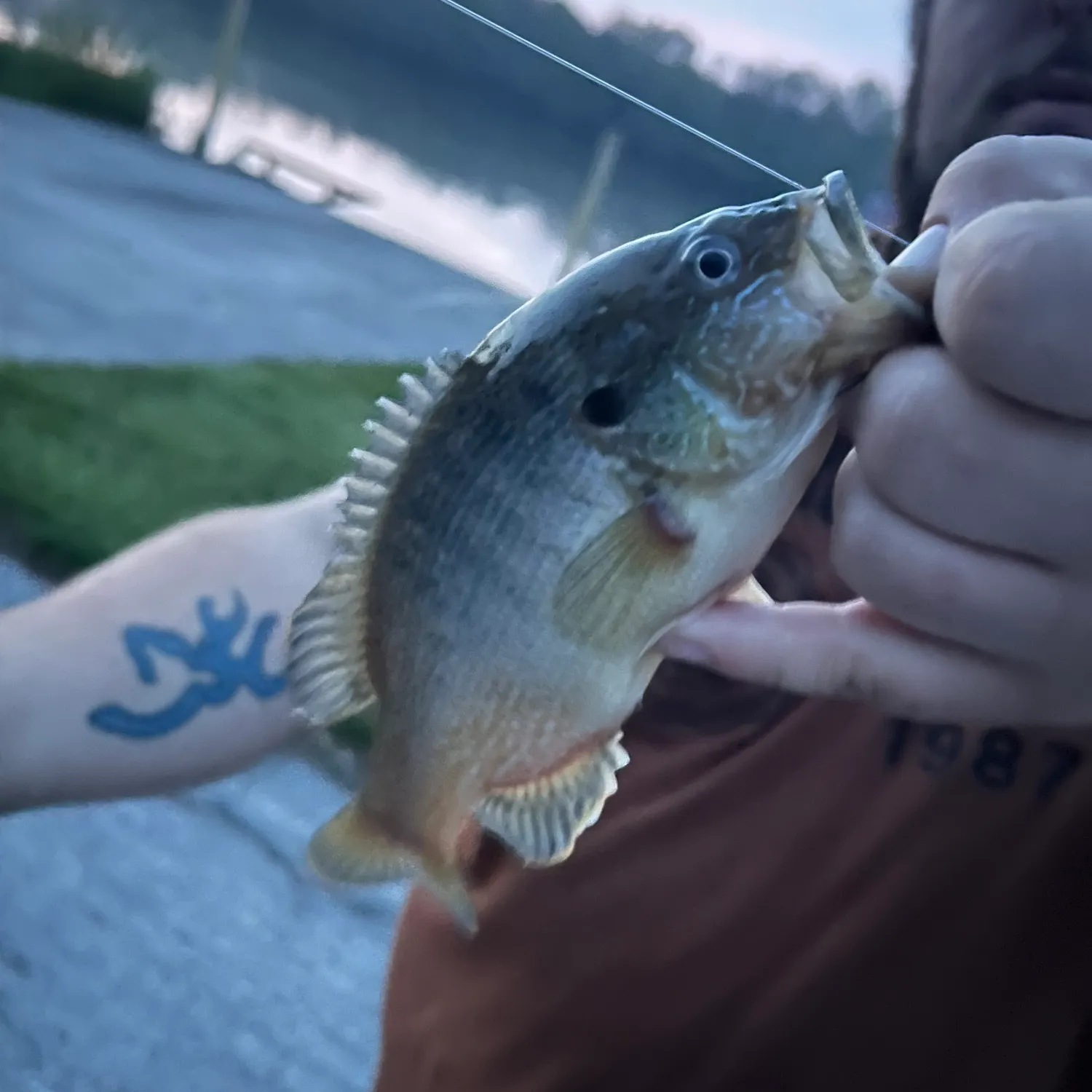 catch
