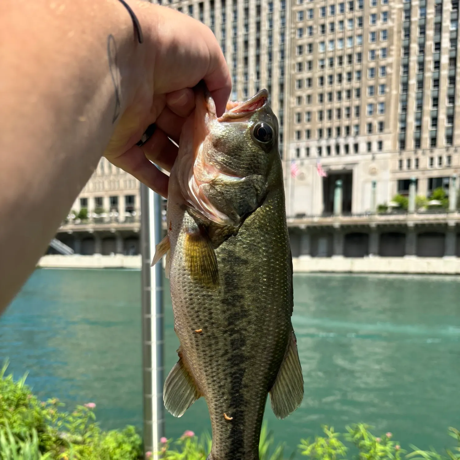 catch