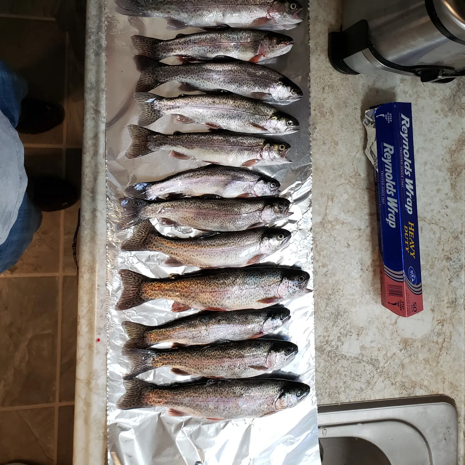 recently logged catches