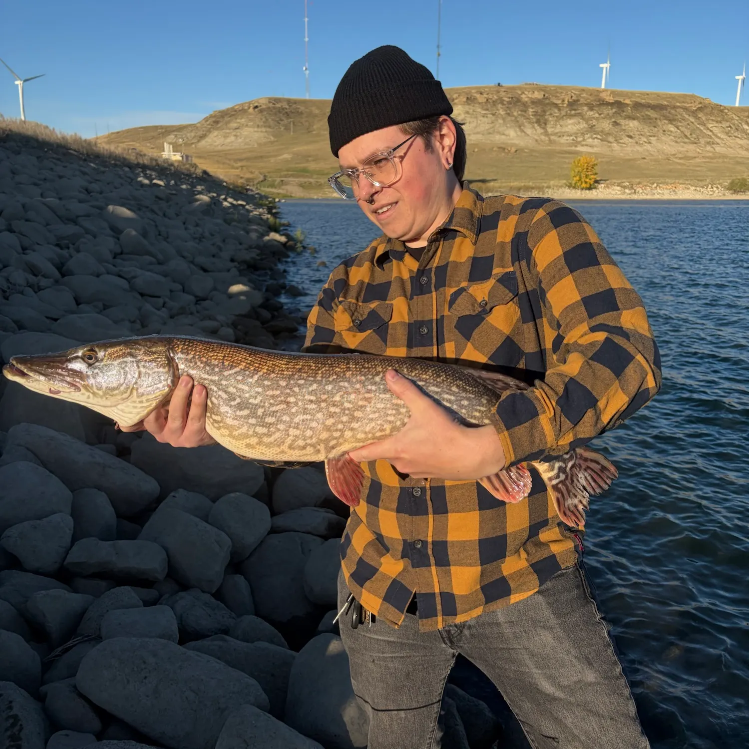Northern pike caught on Fishbrain