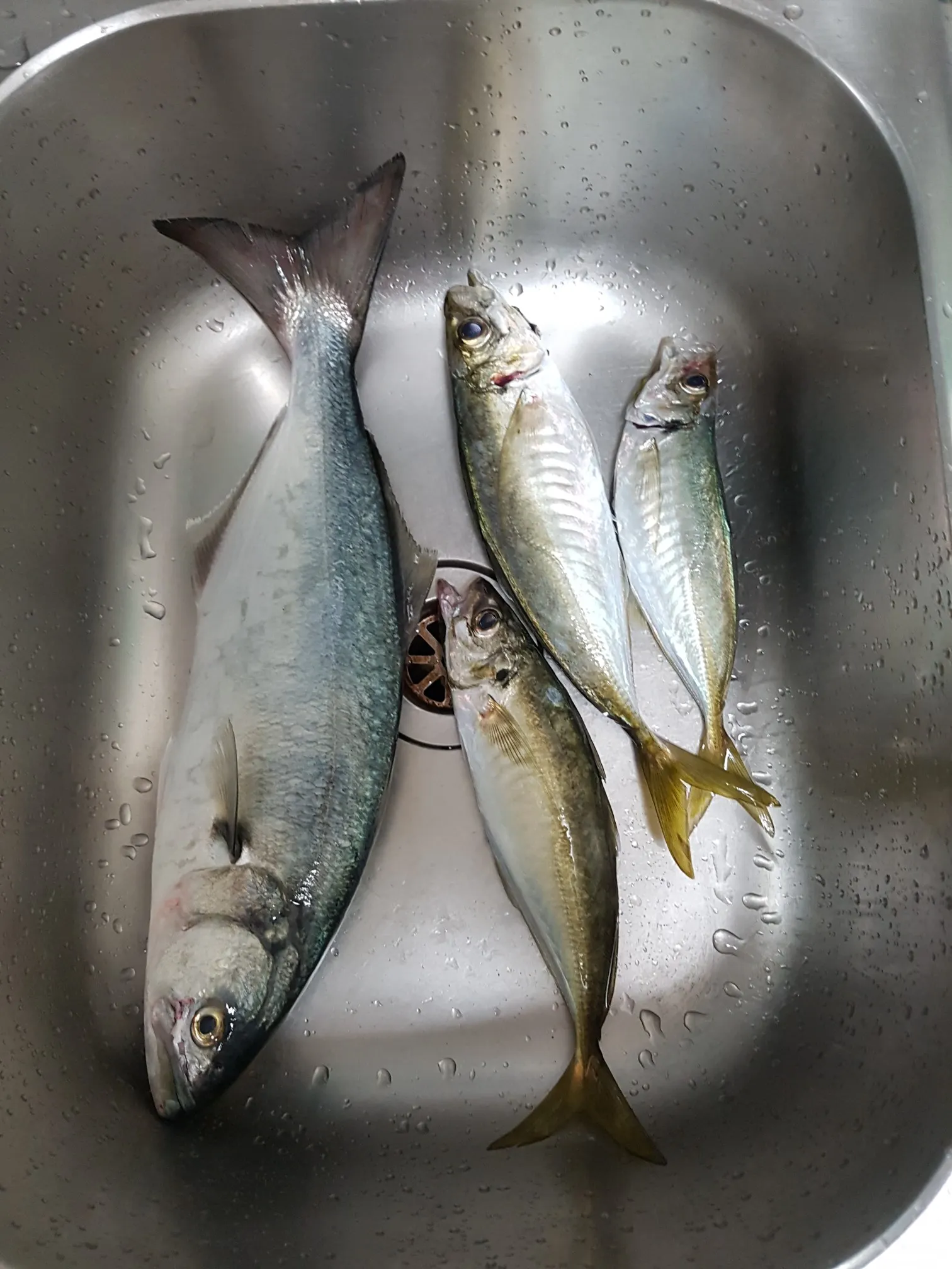 Post image from sbelovolov247