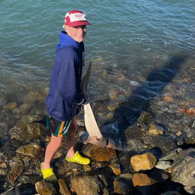 The most recent Giant guitarfish catches on Fishbrain