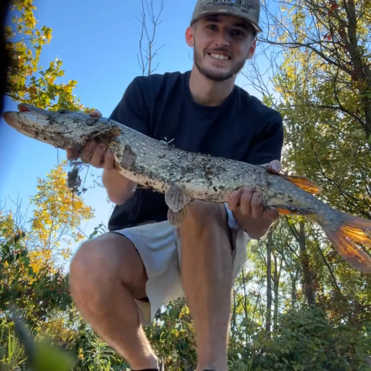 Northern pike caught on Fishbrain