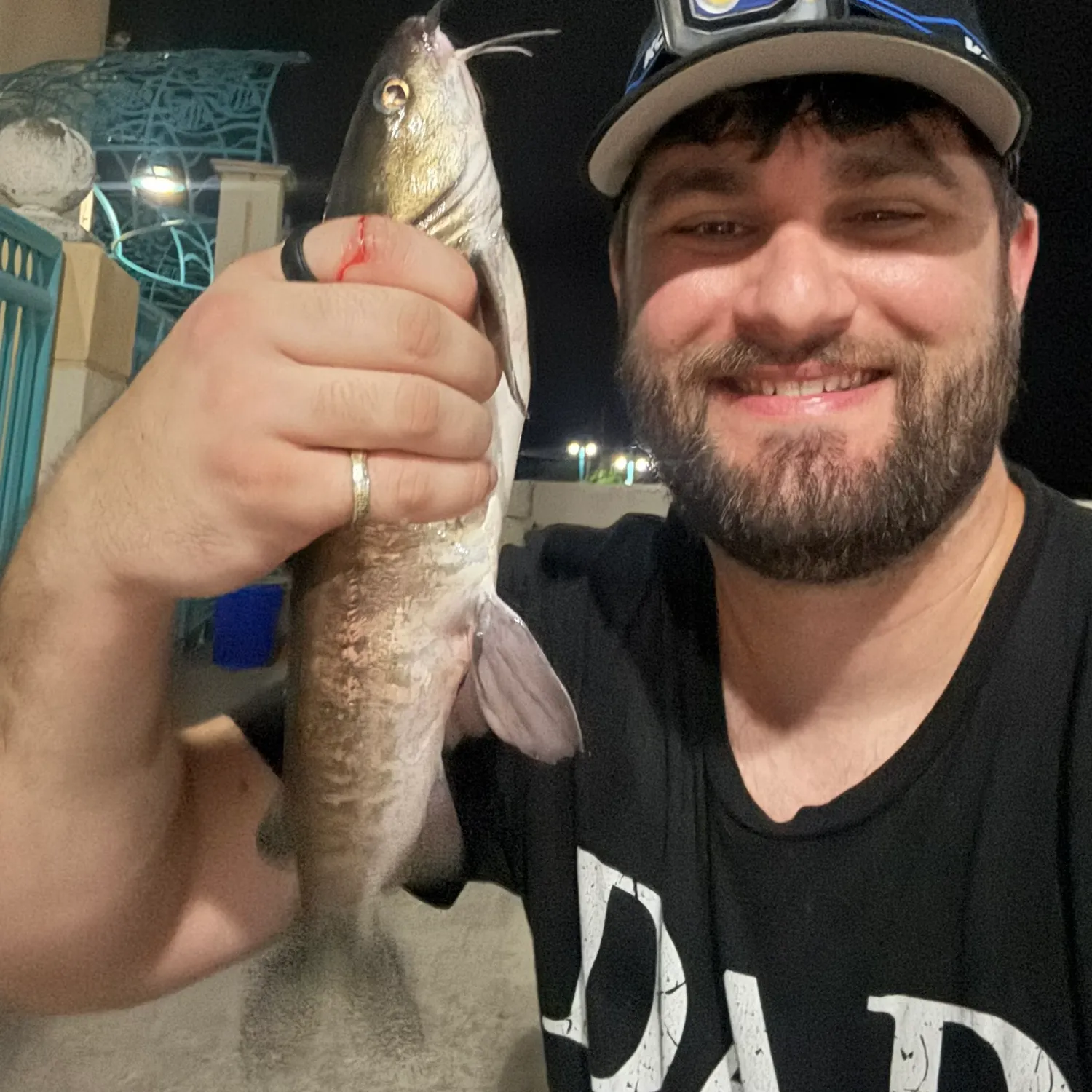 Channel catfish caught on Fishbrain