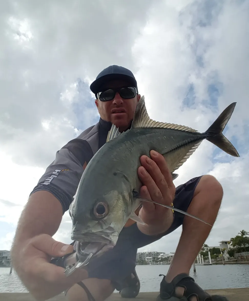 Bigeye trevally