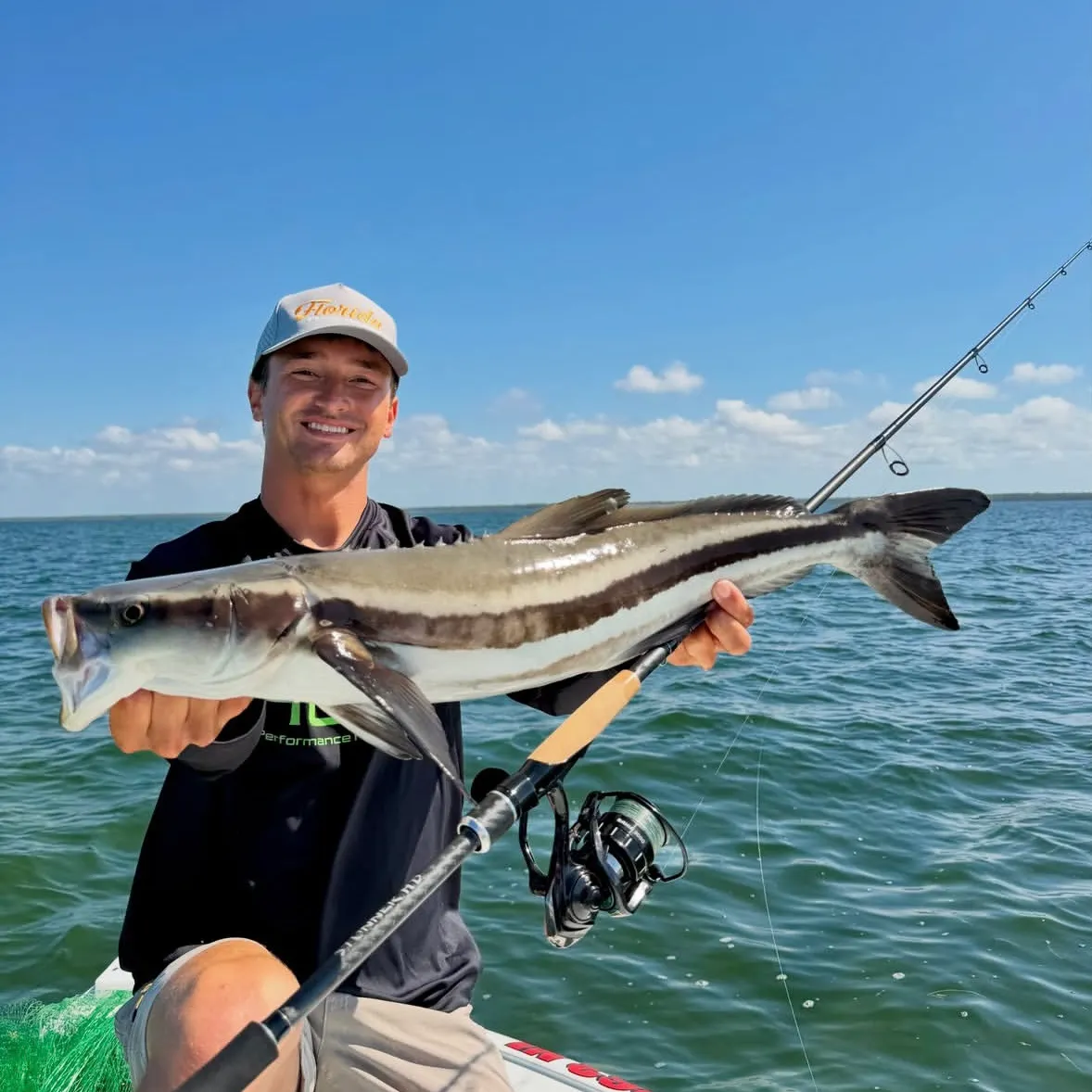 The most recent Cobia catches on Fishbrain
