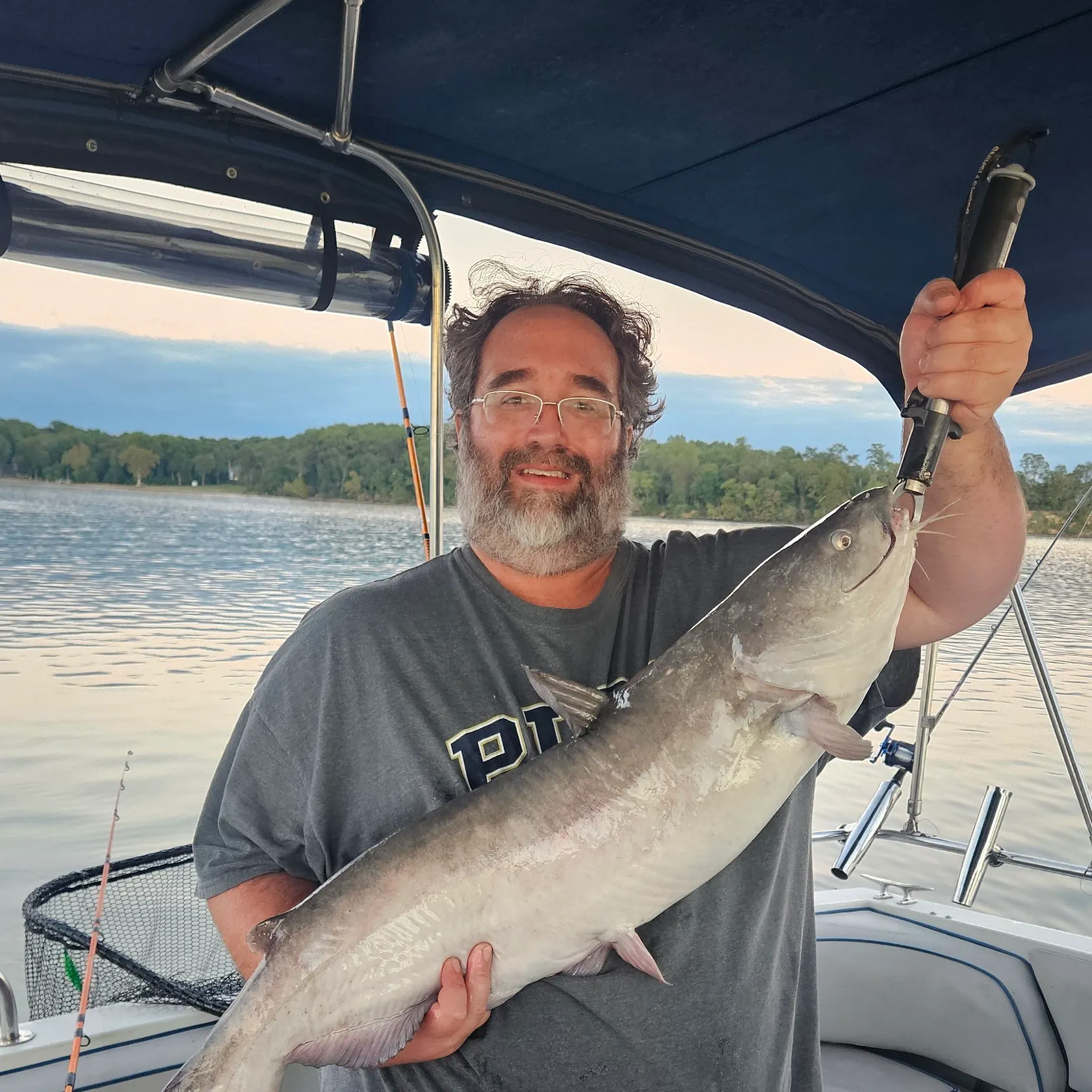 Blue catfish caught on Fishbrain