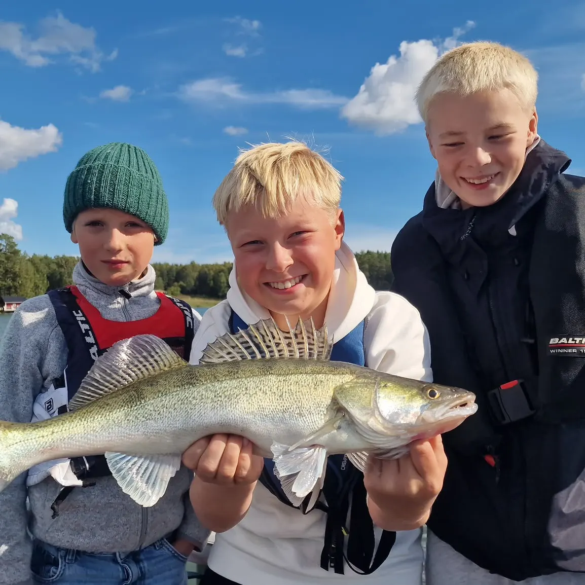 Zander caught on Fishbrain