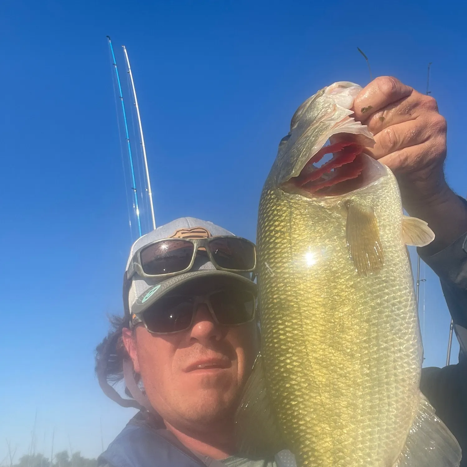 angler catch
