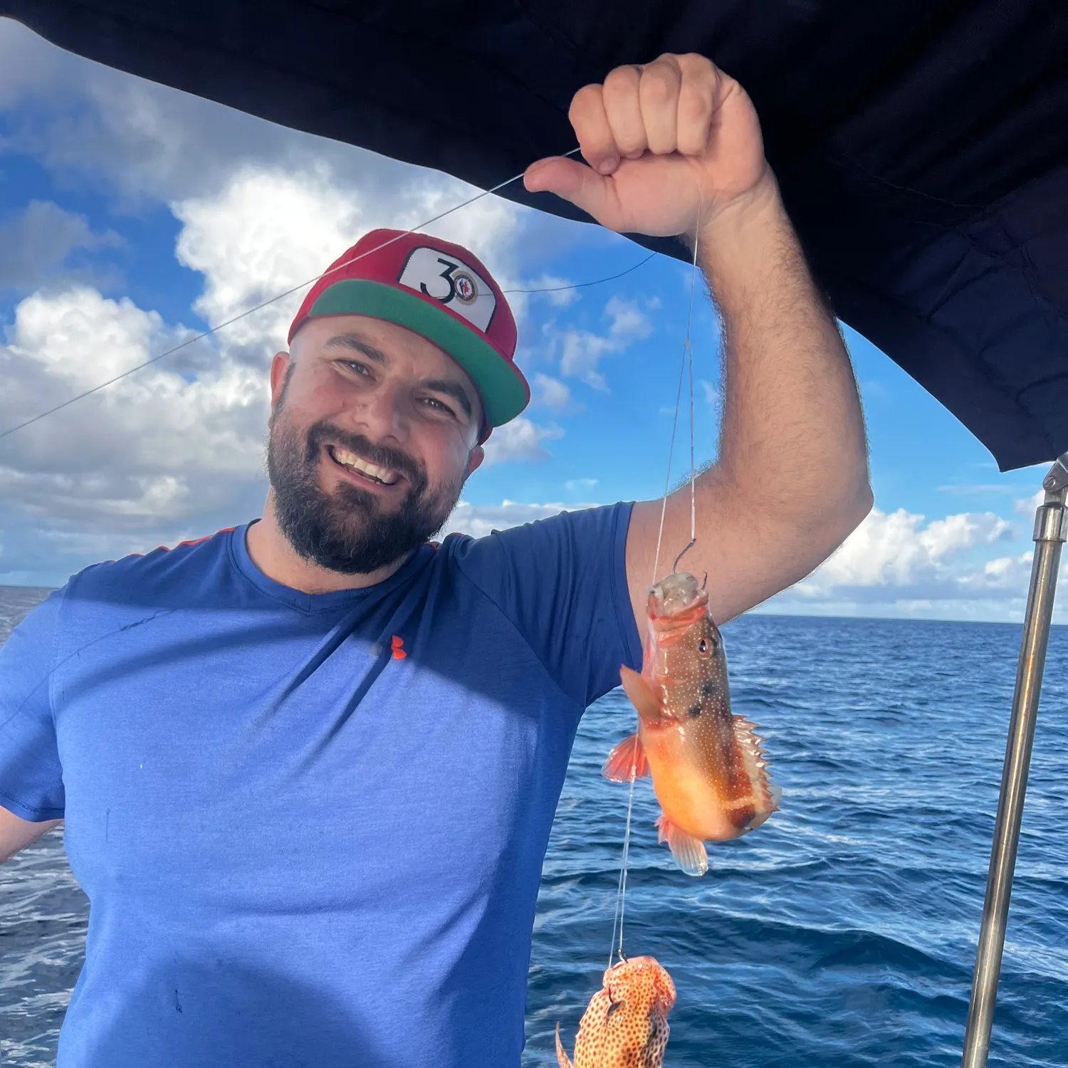 The most recent Red hind grouper catches on Fishbrain