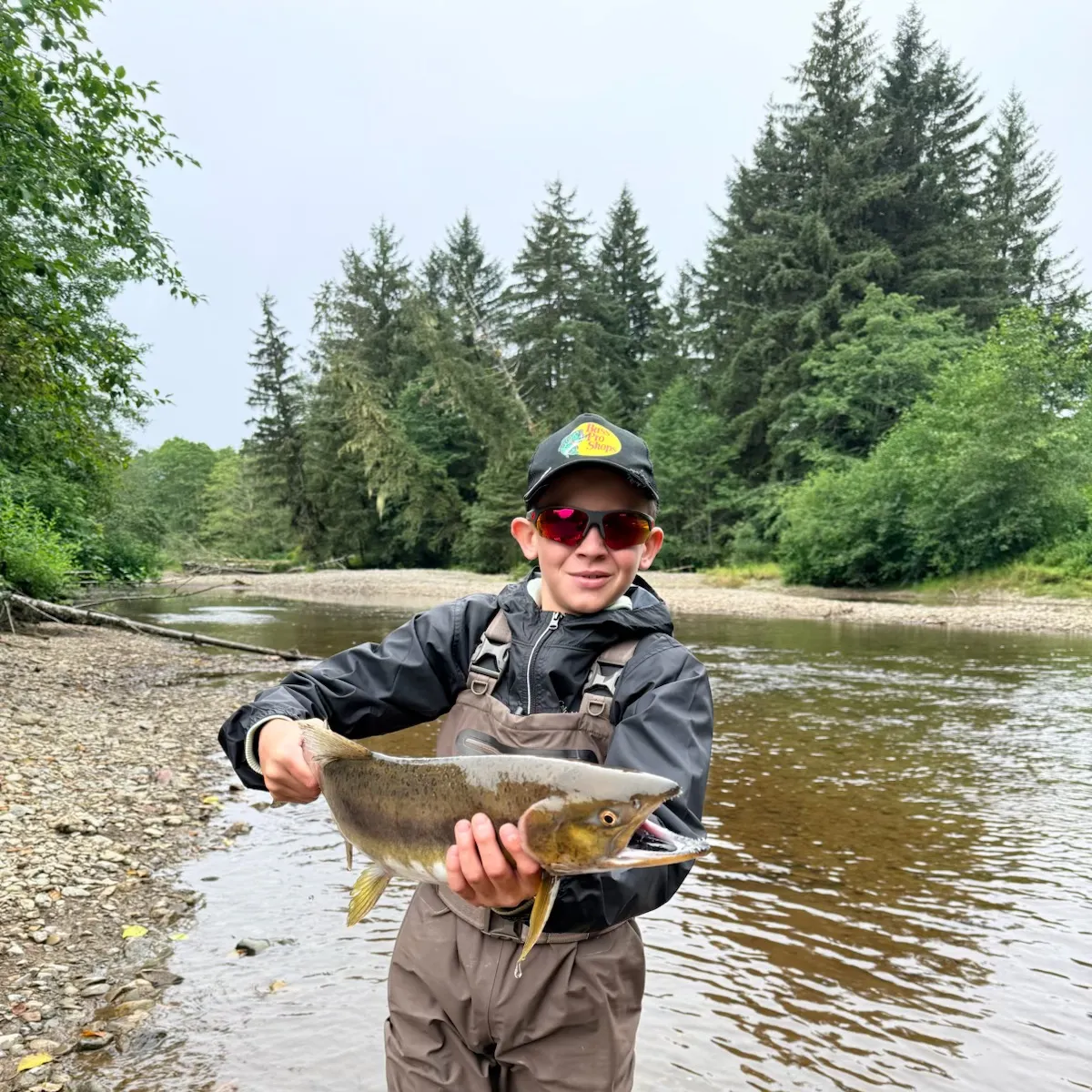 Pink salmon caught on Fishbrain