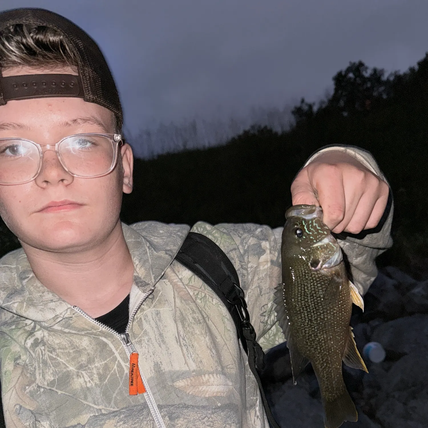 Green sunfish caught on Fishbrain