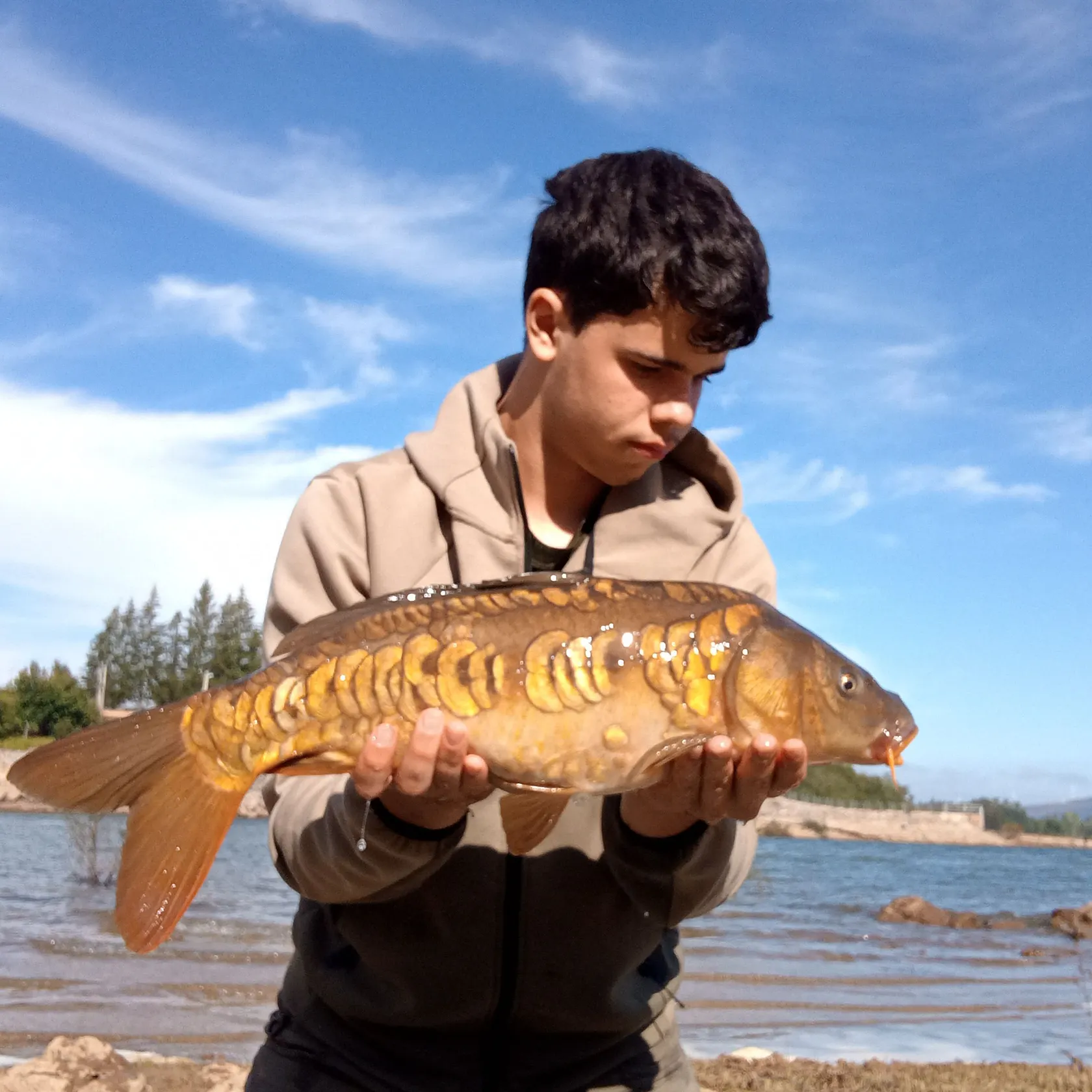 Mirror carp caught on Fishbrain