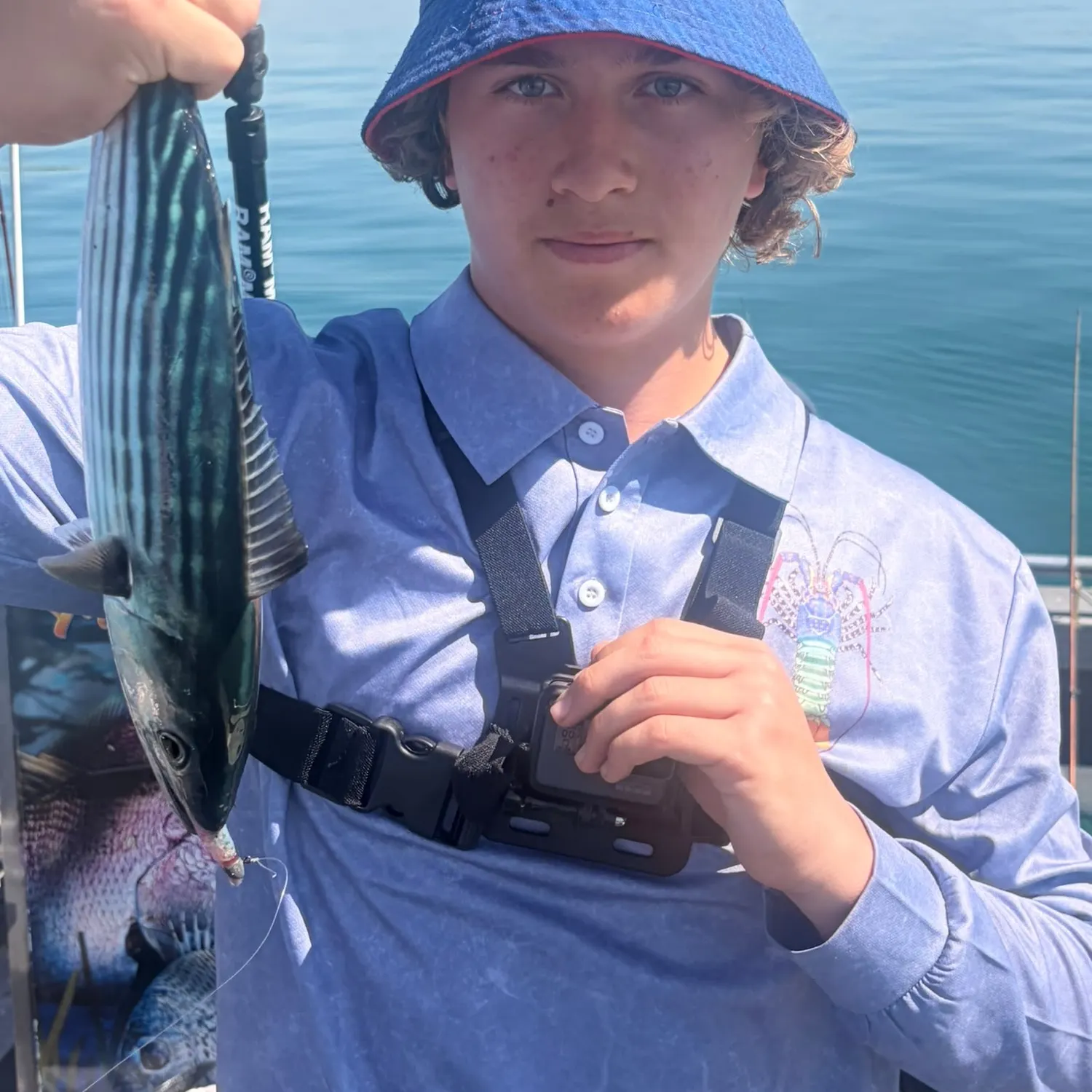 Australian bonito caught on Fishbrain