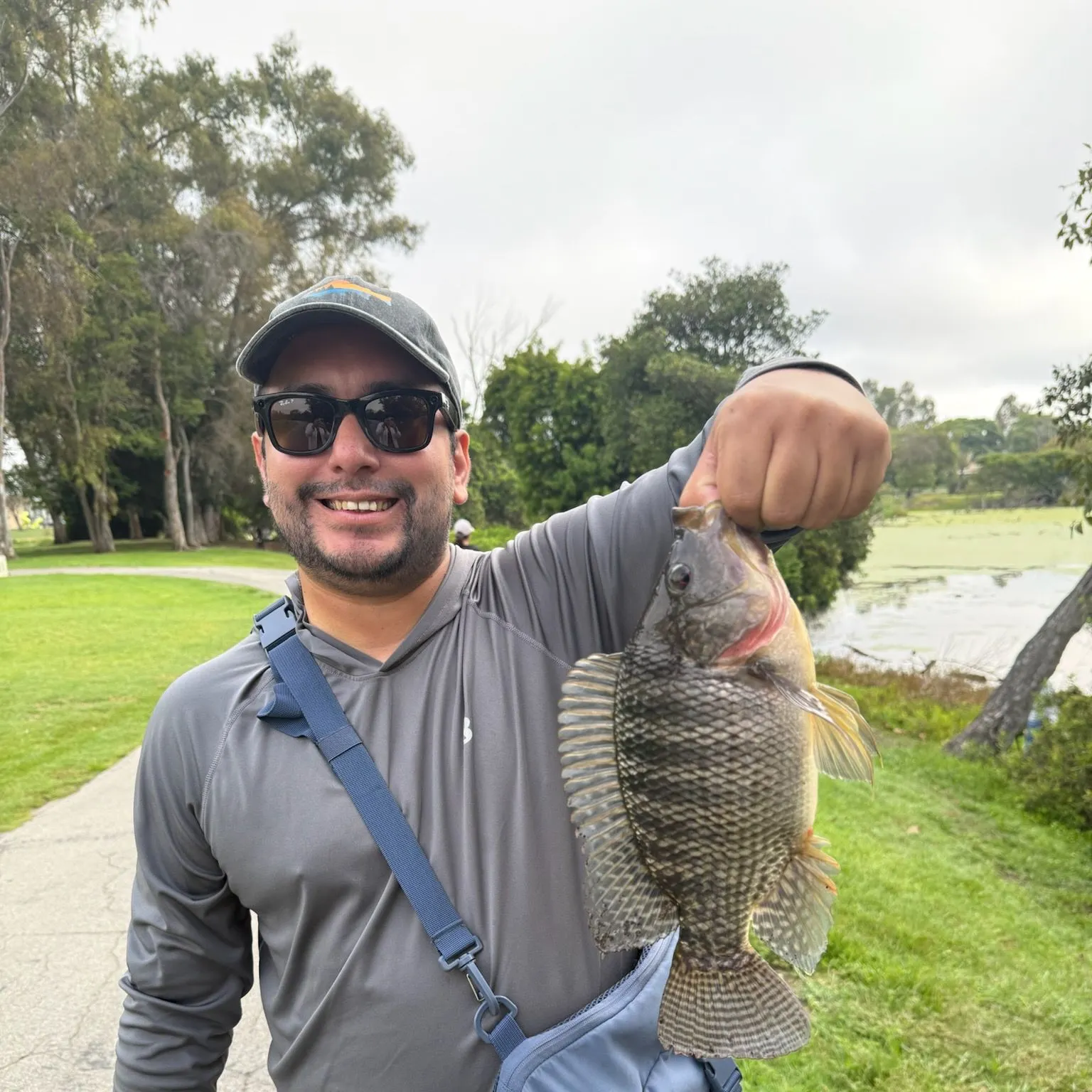 The most recent Blue tilapia catches on Fishbrain