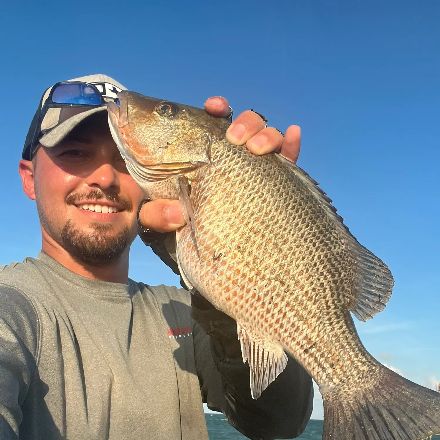 Mangrove snapper caught on Fishbrain