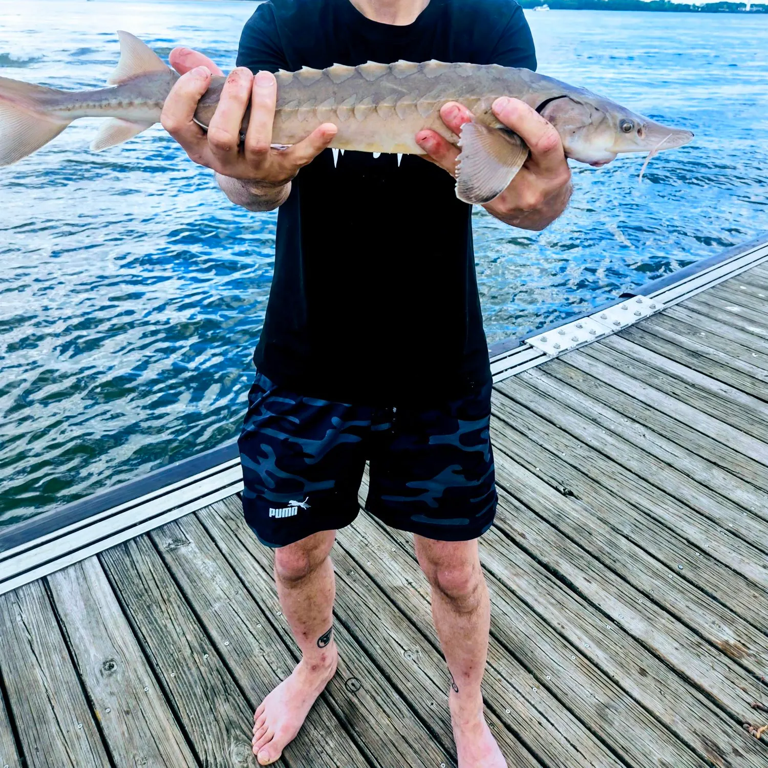 catch