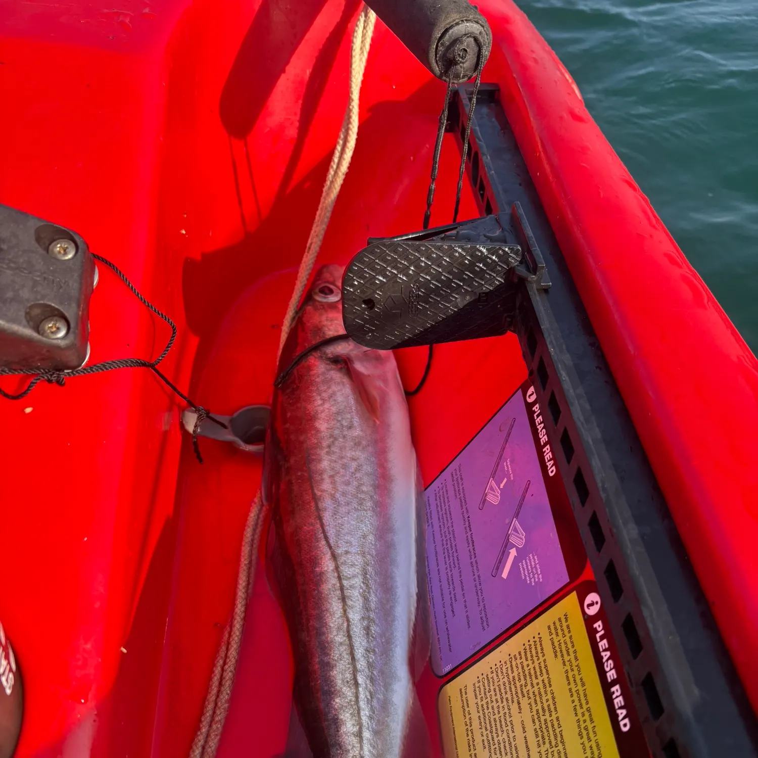 The most recent Whiting catches on Fishbrain