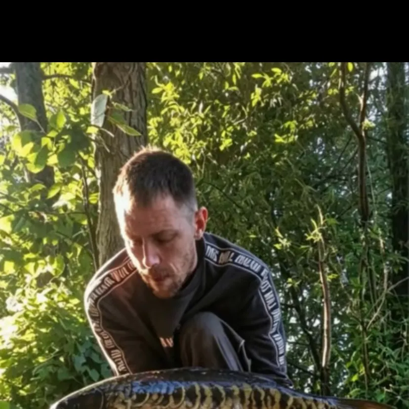 Mirror carp caught on Fishbrain