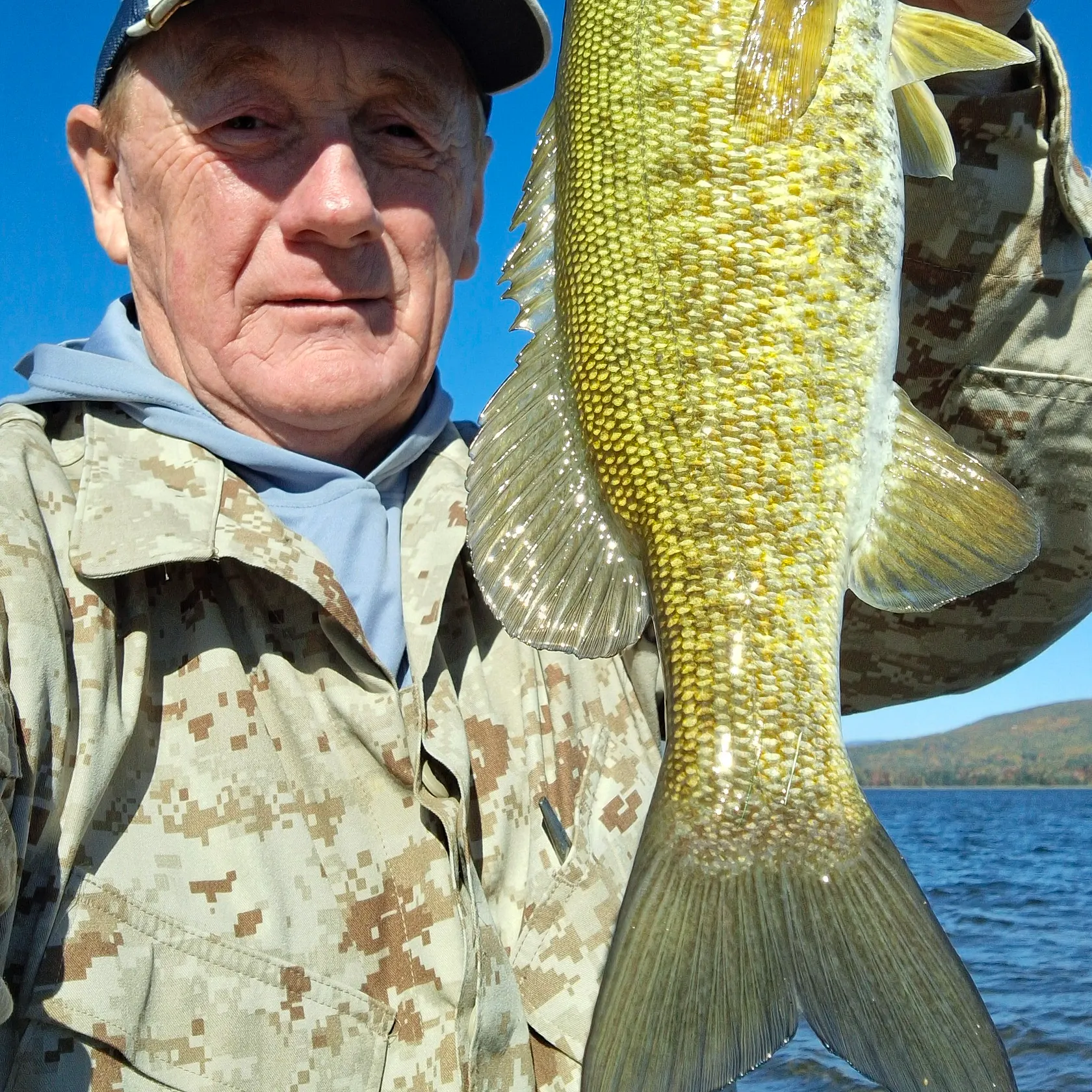Smallmouth bass caught on Fishbrain