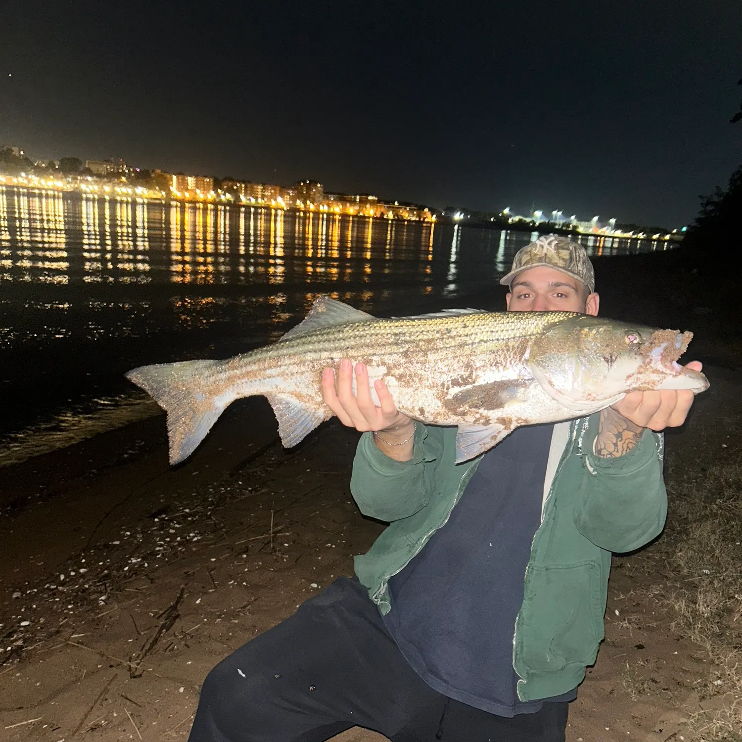 Striped bass caught on Fishbrain