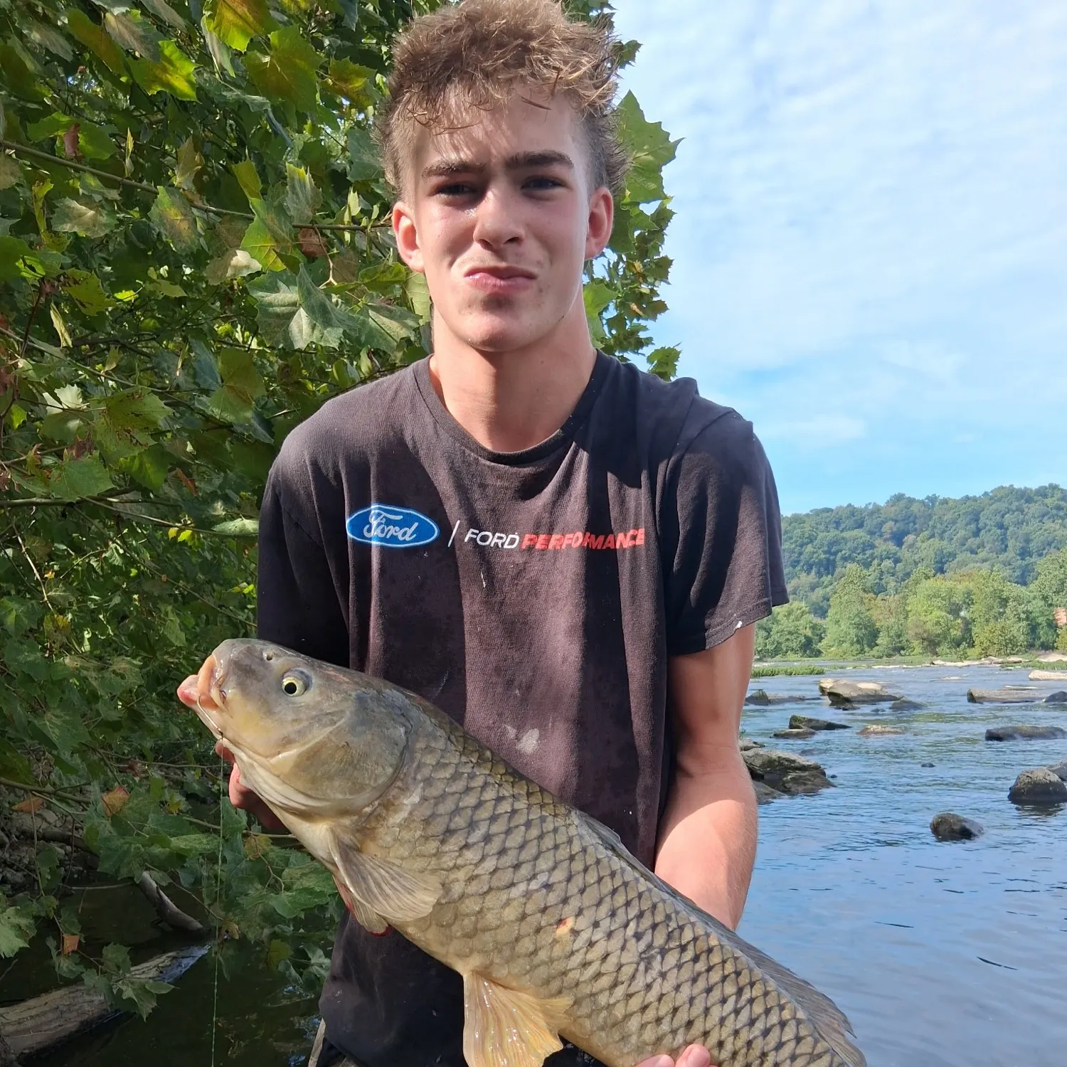 Common carp caught on Fishbrain